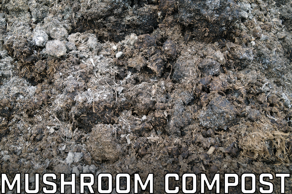 Mushroom Compost.jpg