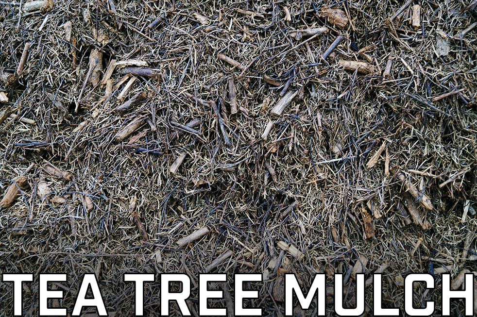 Tea Tree Mulch.jpg