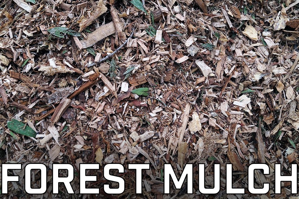 Forest+Mulch.jpg