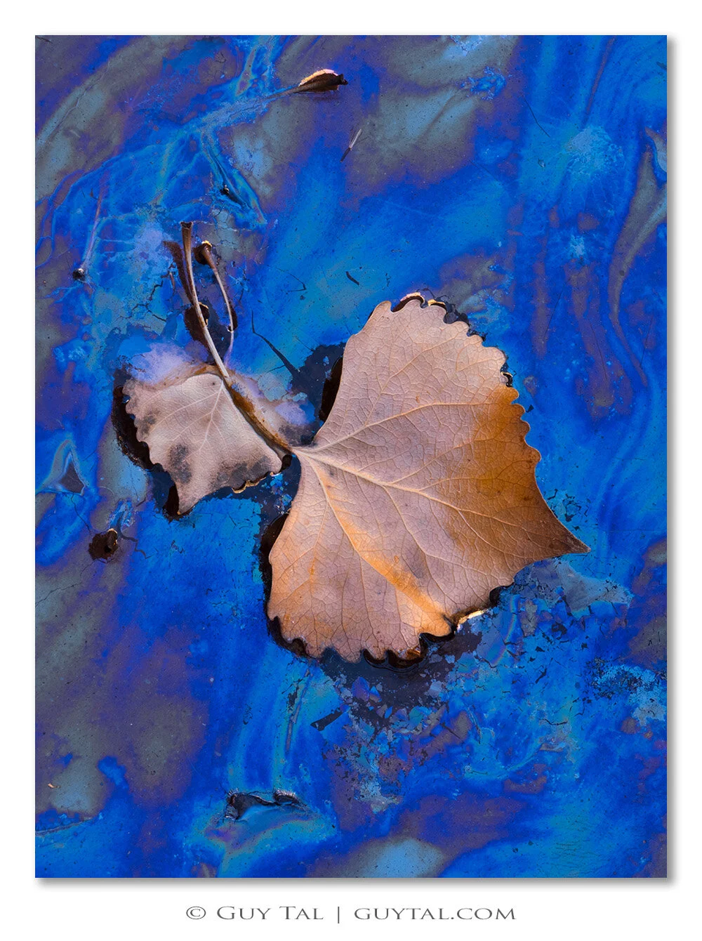 Ultramarine