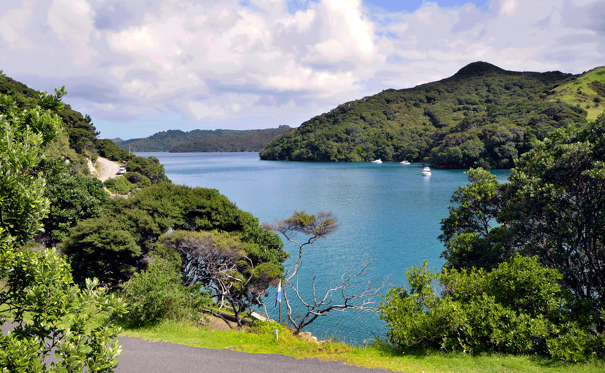 iStock-520132781_web.gif
