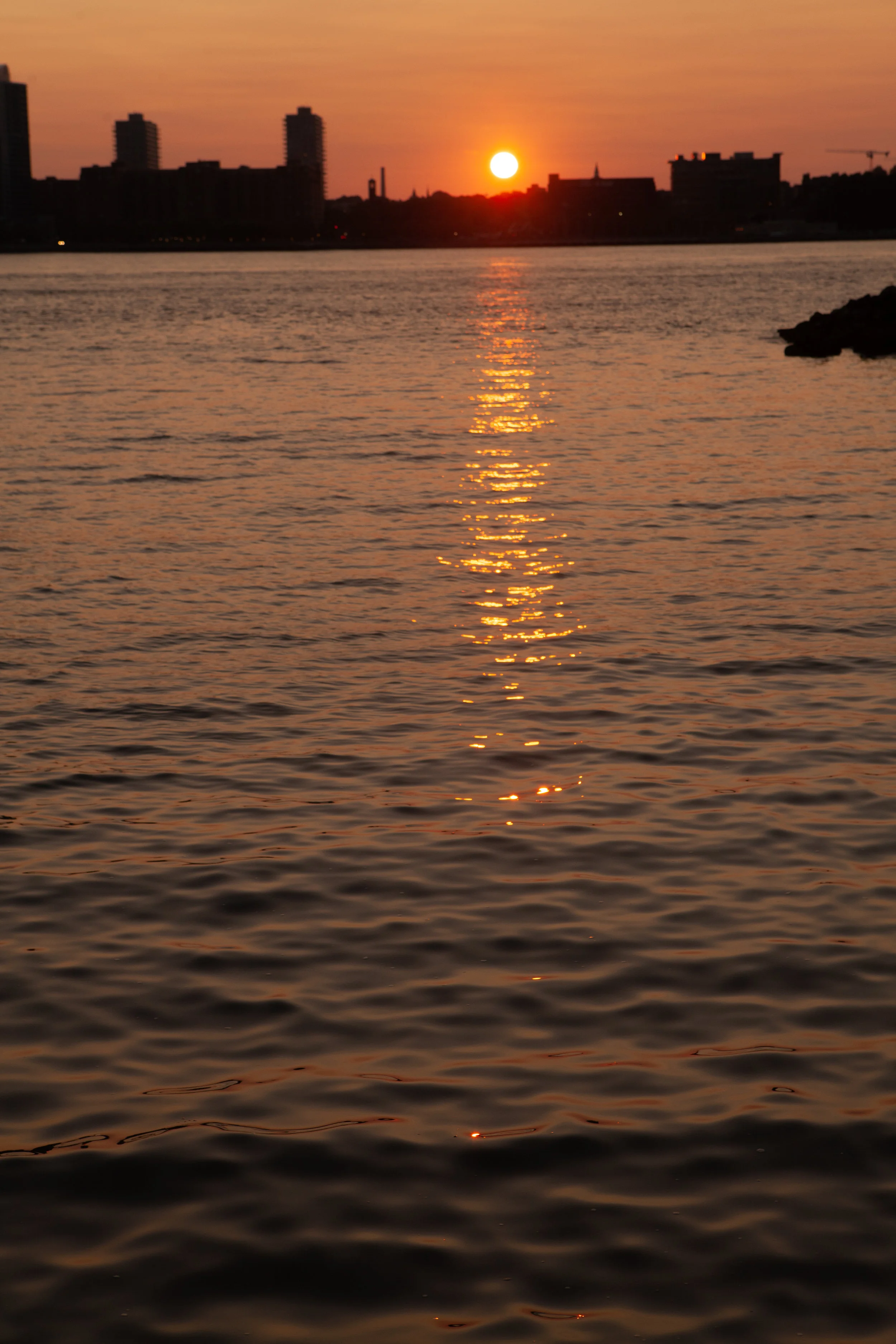 Ohayon_170826_5005.jpg