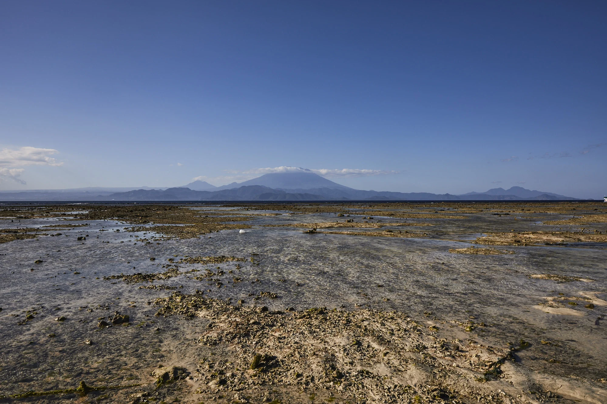 bali wedding_0545.jpg