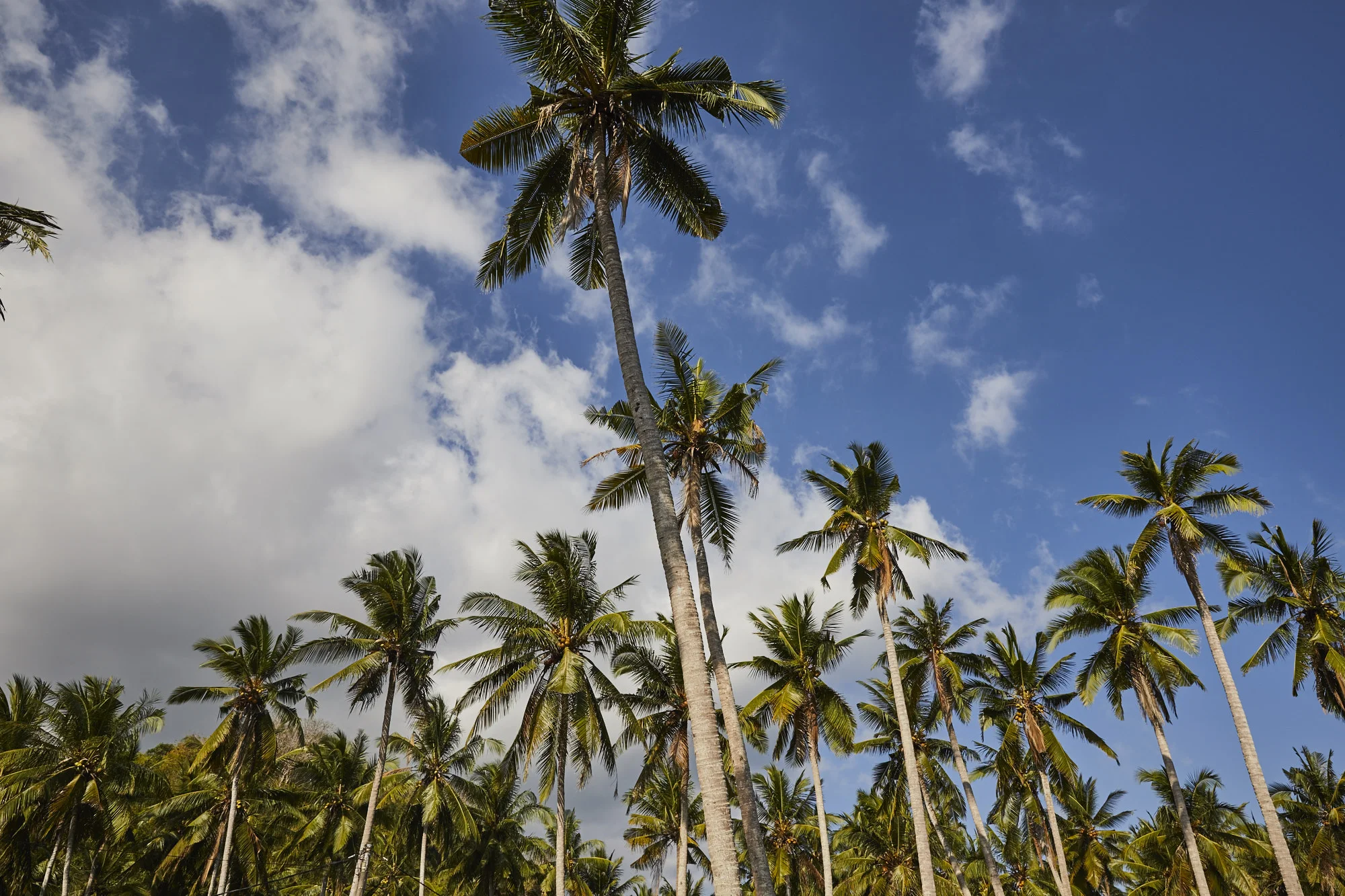 bali wedding_1353.jpg