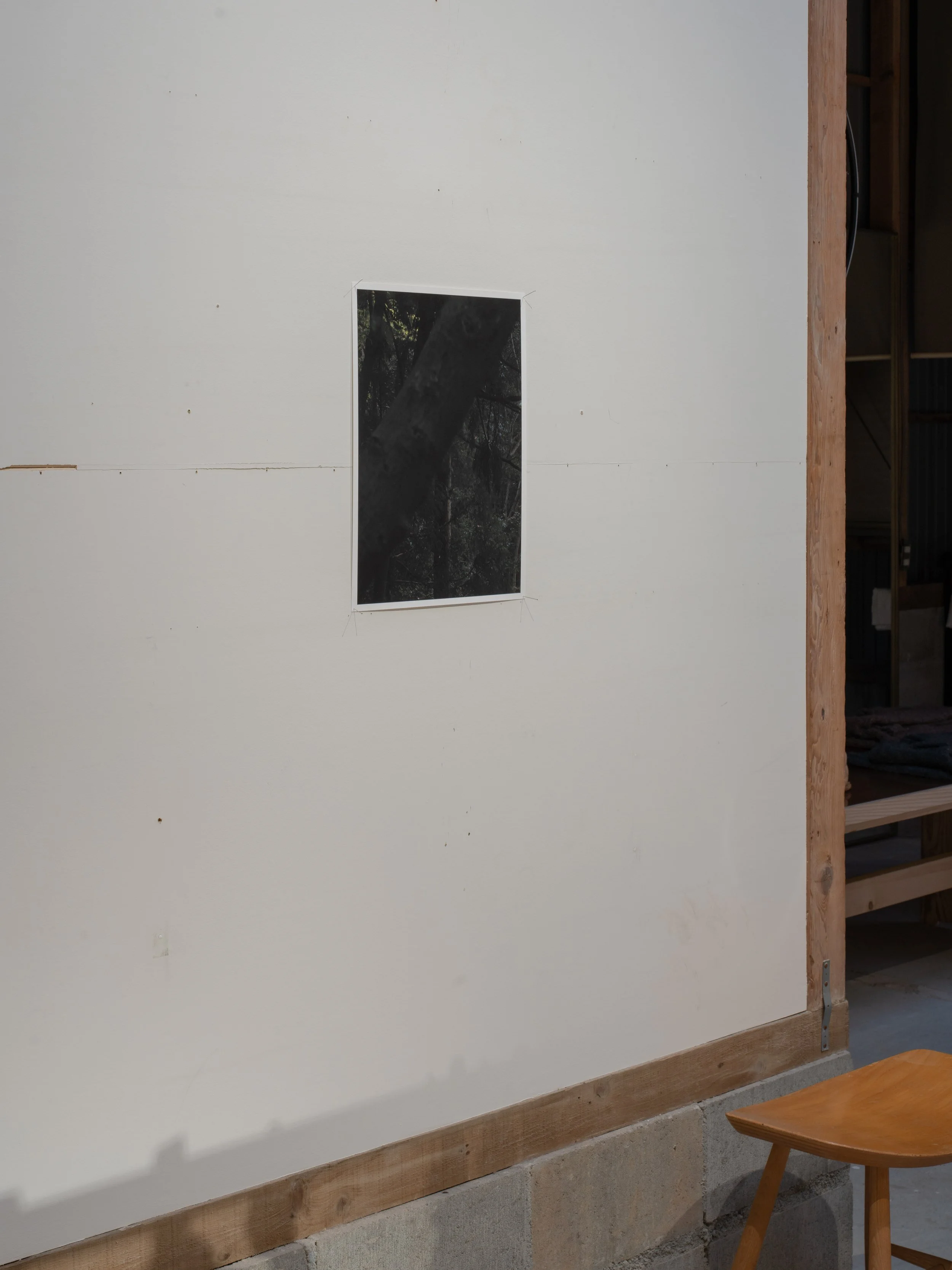 KNR00625.JPG