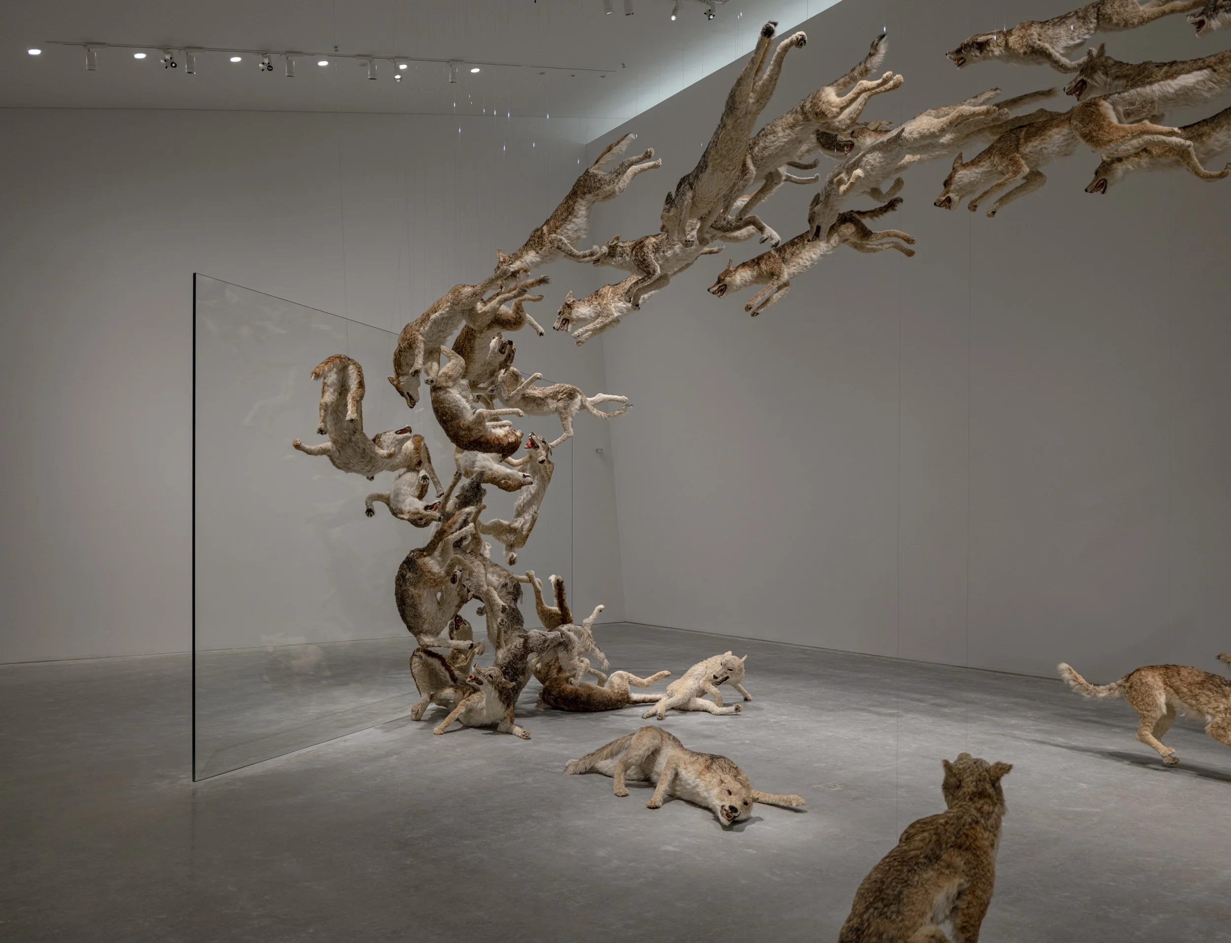 HEAD ON_INSTALLATION VIEW_00006_jpegS.JPG