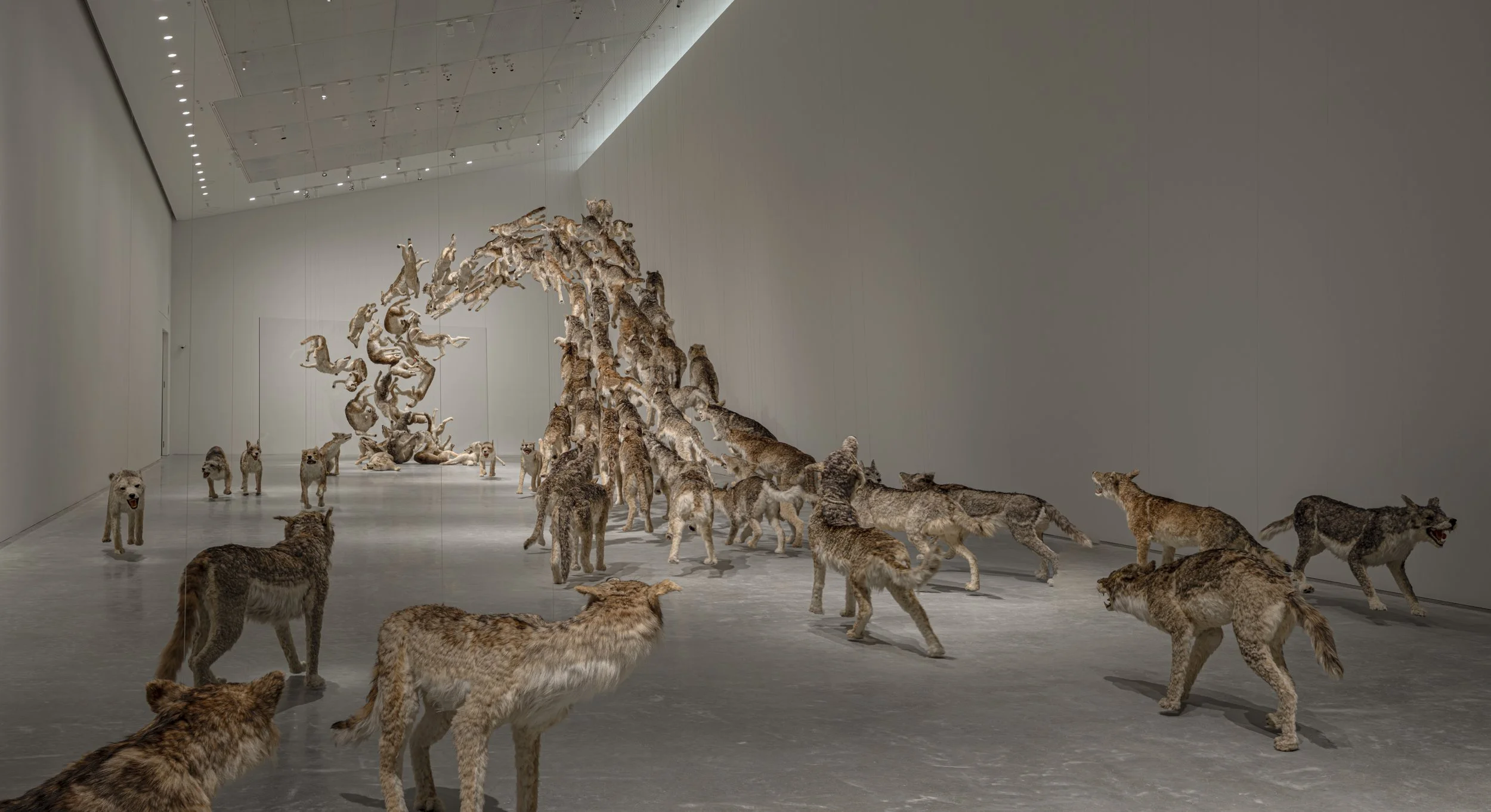 HEAD ON_INSTALLATION VIEW_00007_jpegS.jpg