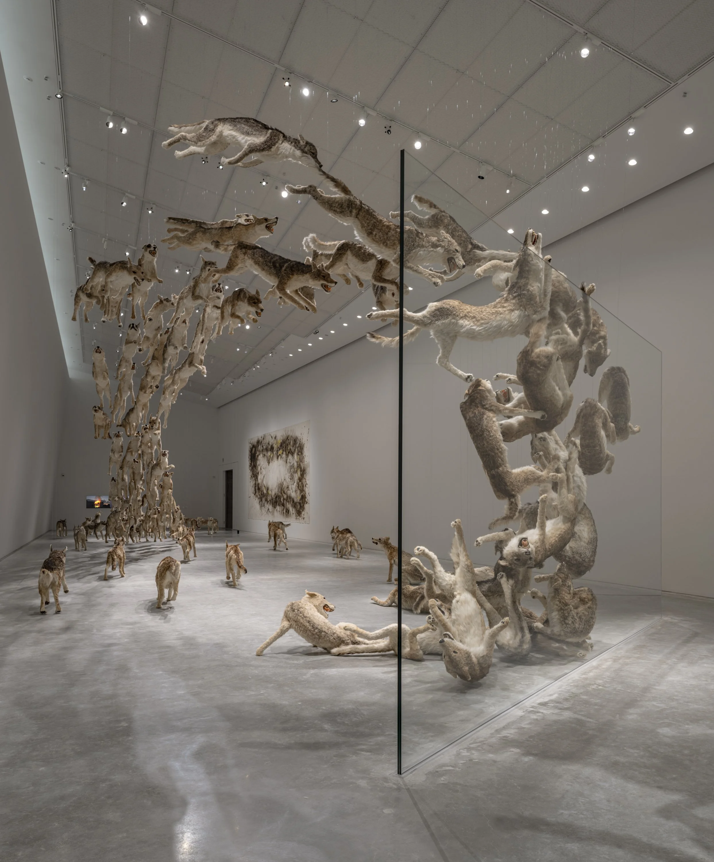 HEAD ON_INSTALLATION VIEW_00024_jpegS.jpg