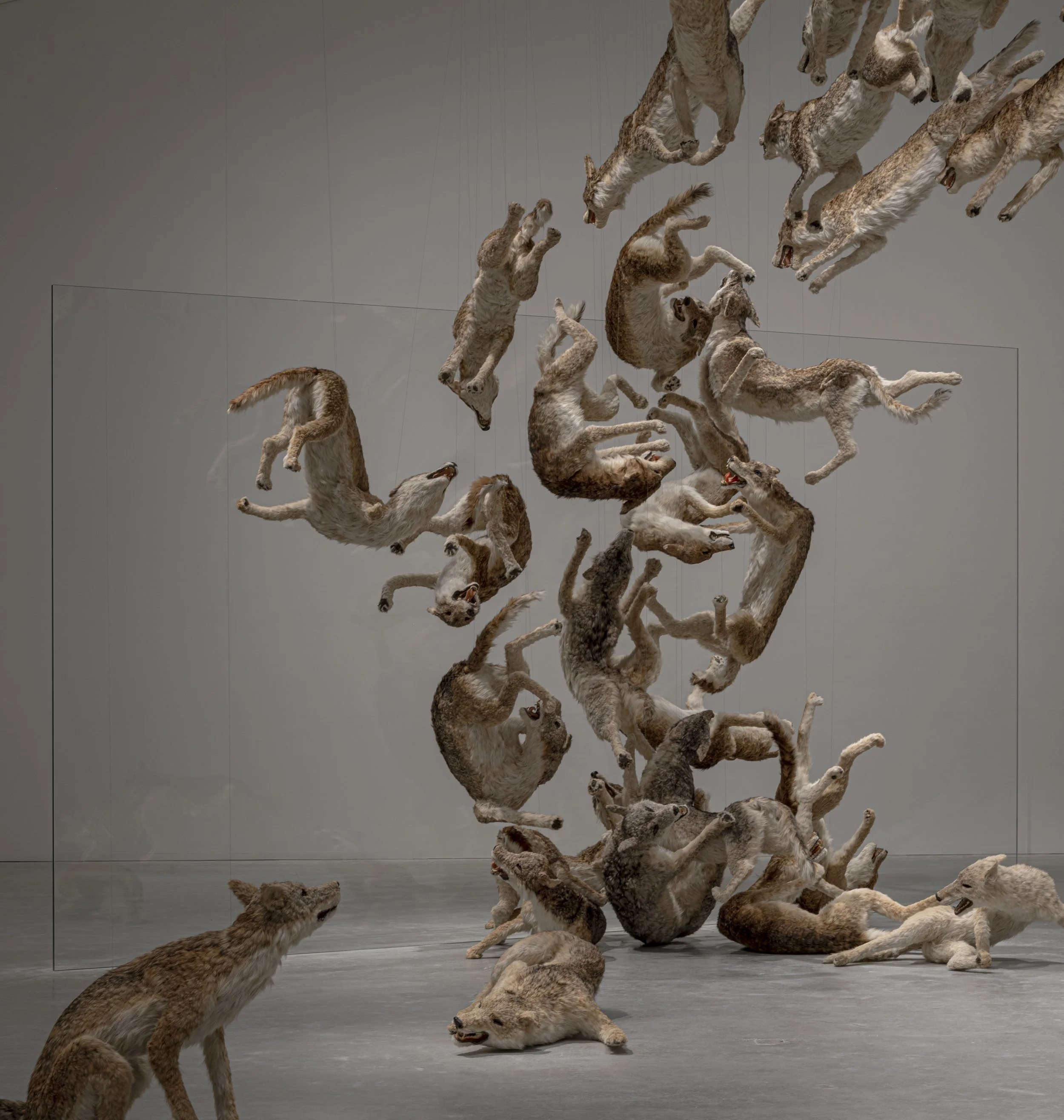 HEAD ON_INSTALLATION VIEW_00032_jpegS.JPG