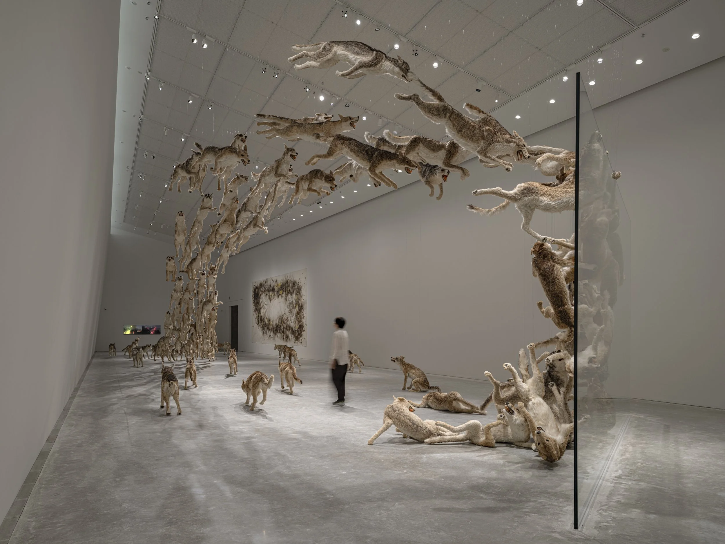 HEAD ON_INSTALLATION VIEW_00060_jpegS.jpg