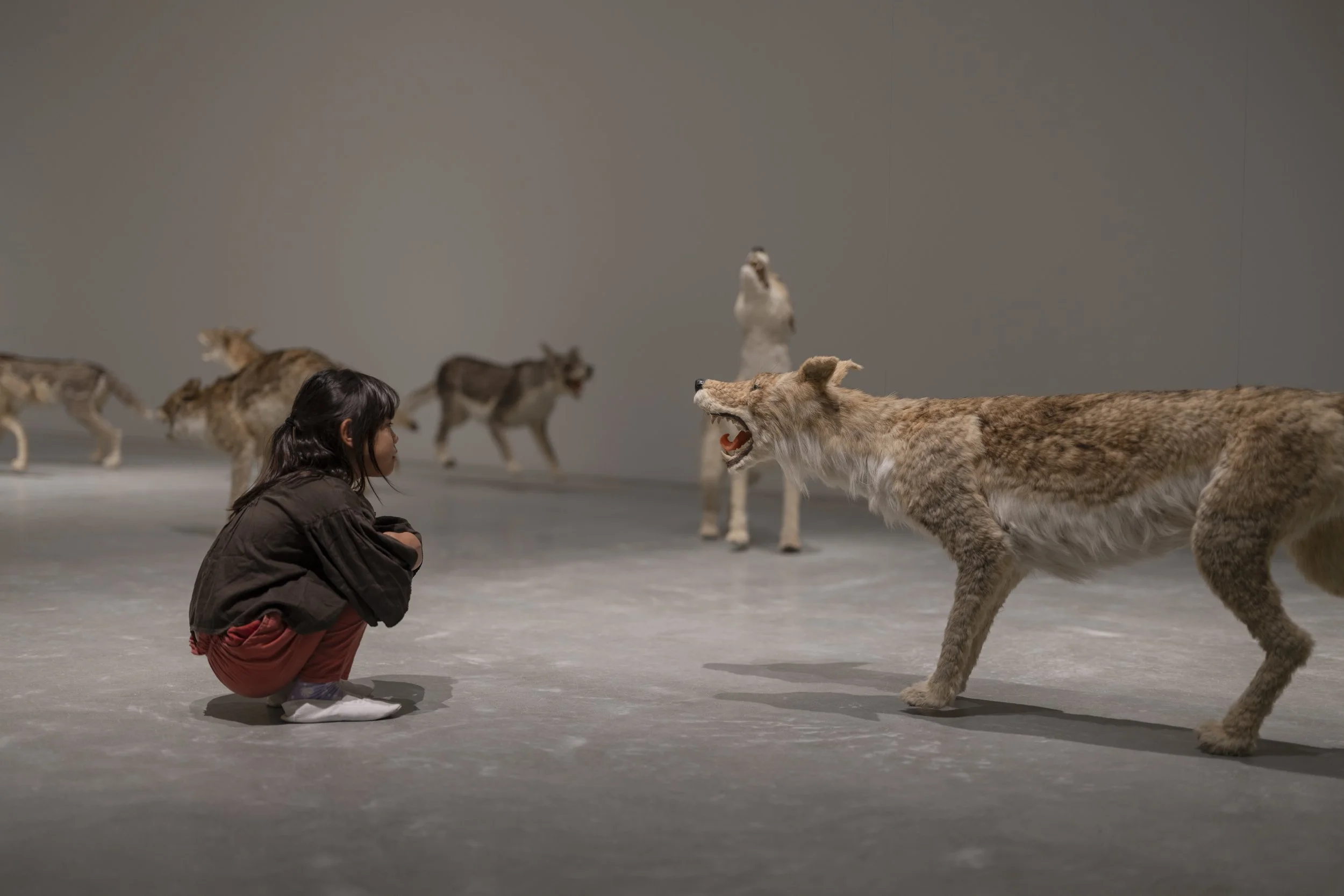 HEAD ON_INSTALLATION VIEW_00063_jpegS.jpg