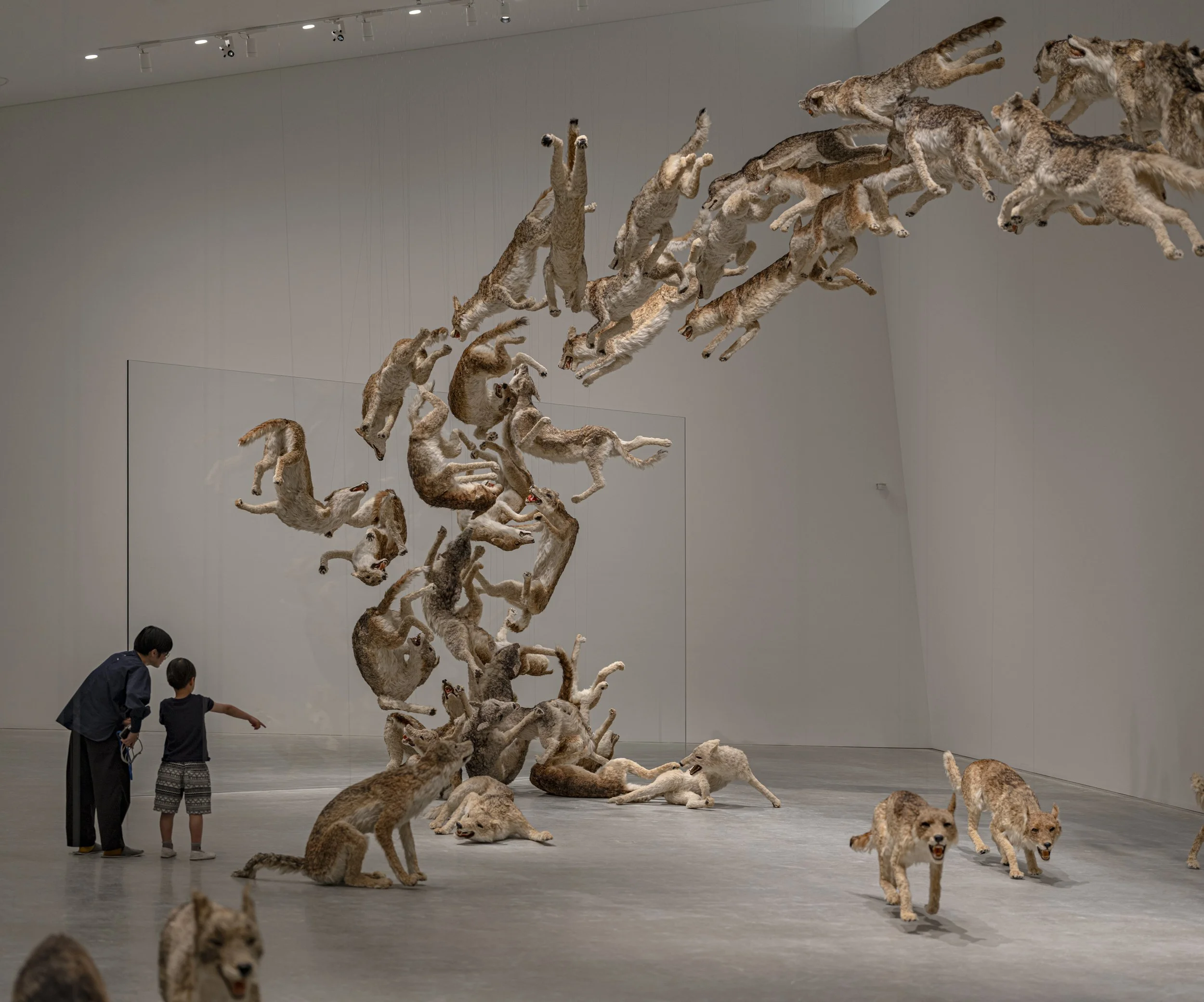 HEAD ON_INSTALLATION VIEW_00065_jpegS.jpg