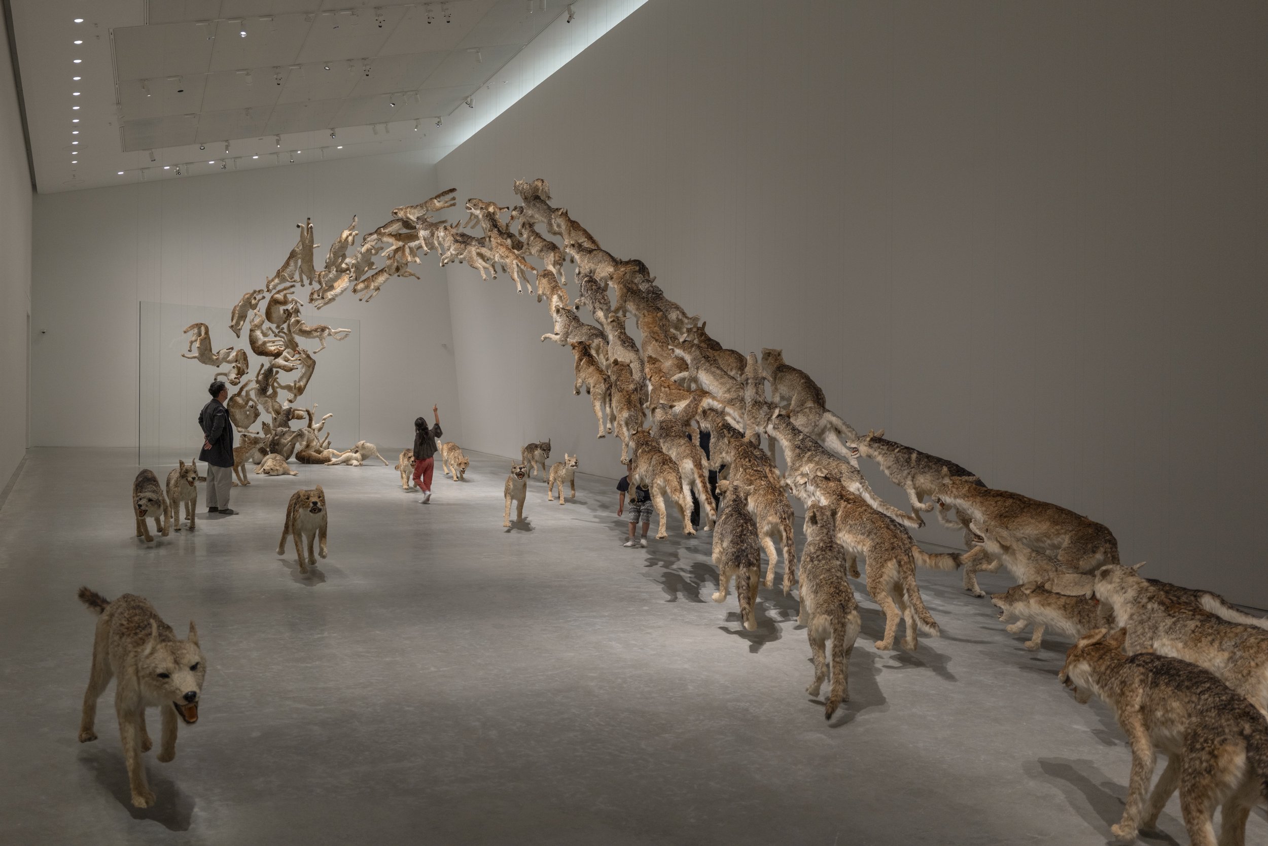 HEAD ON_INSTALLATION VIEW_00073_jpegS.jpg