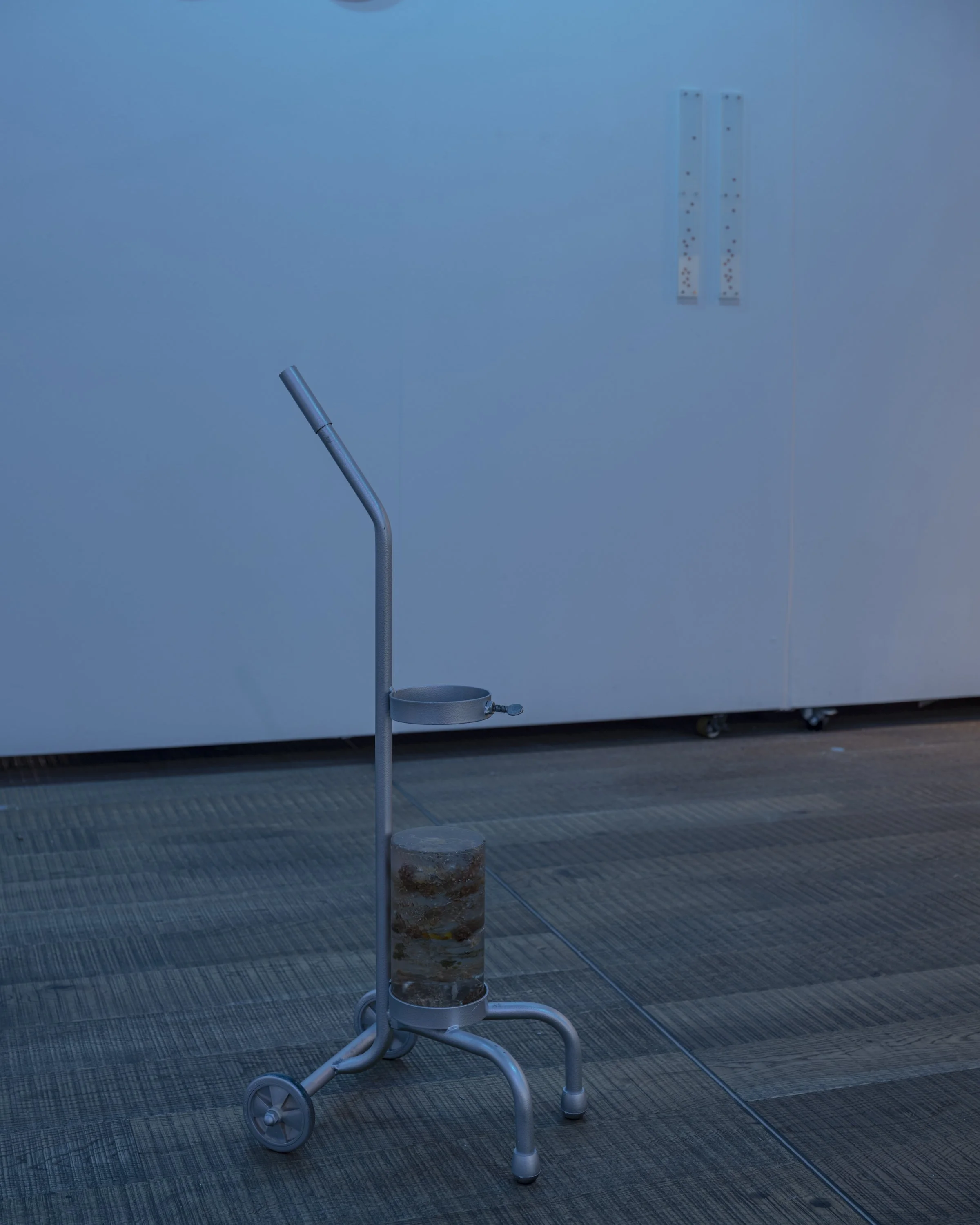220705_TSUJIRIEKO_installation view_35_jpegS.JPG