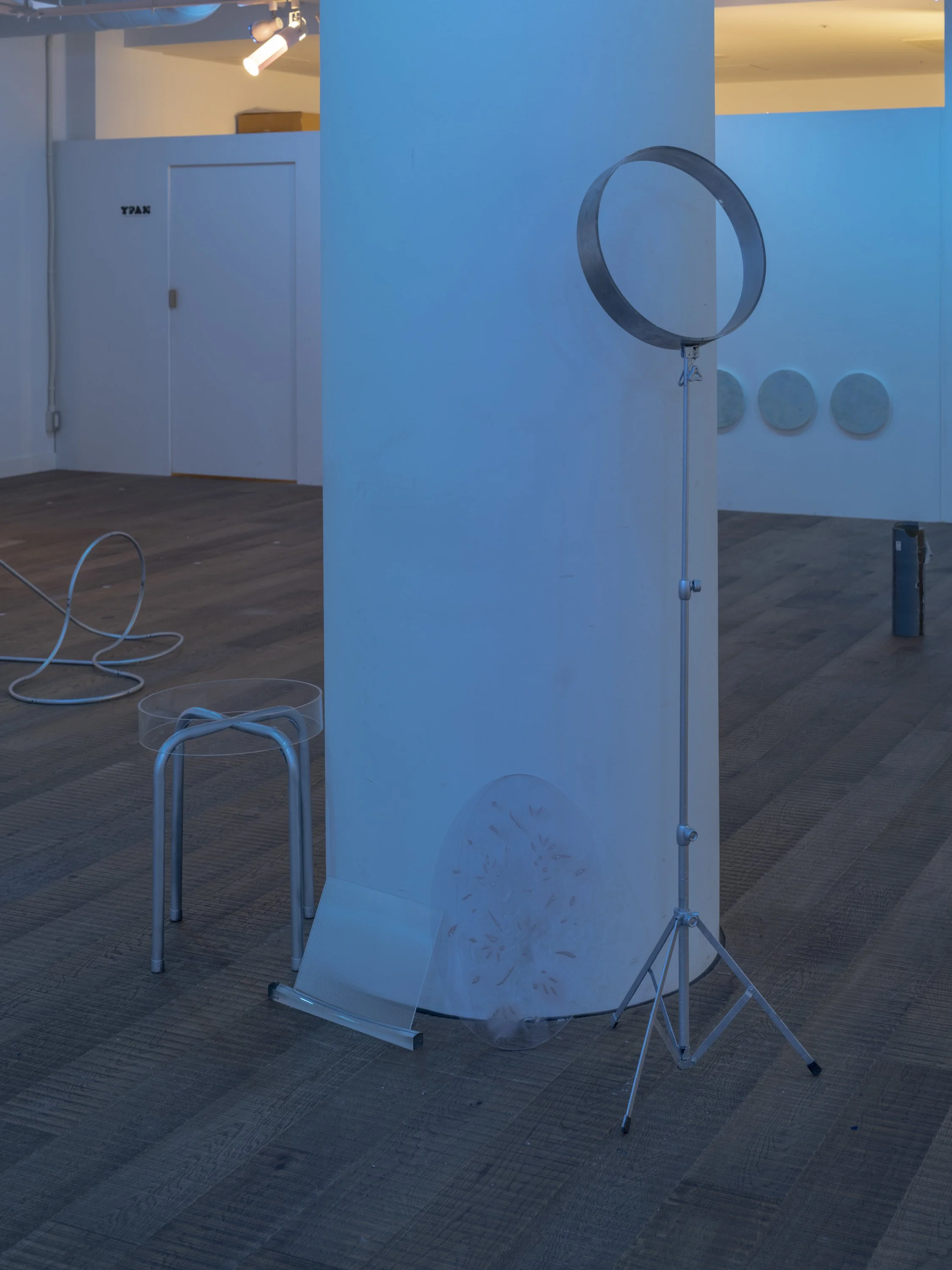 220705_TSUJIRIEKO_installation view_45_jpegS.JPG