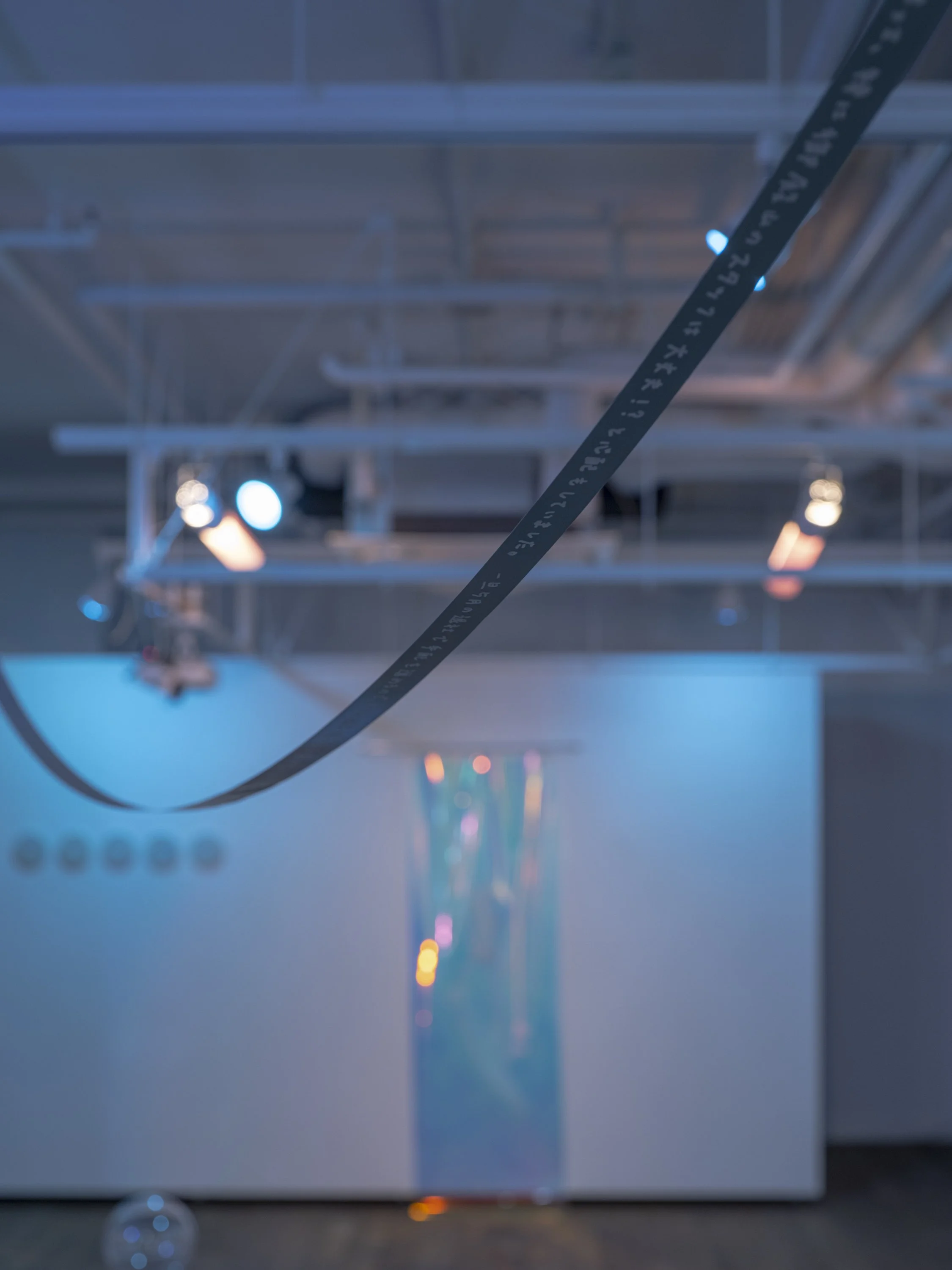 220705_TSUJIRIEKO_installation view_57_jpegS.JPG