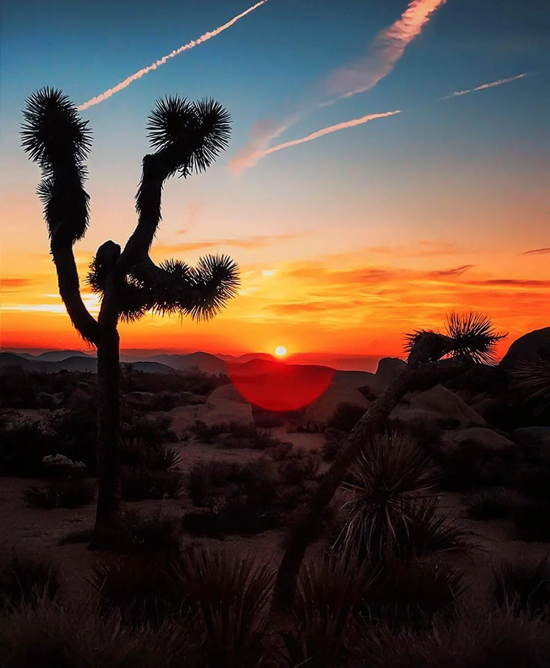Grand Rising Retreat in Joshua Tree