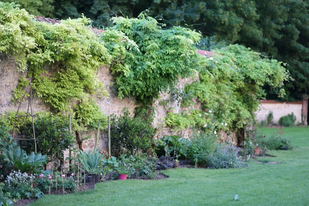 Grounds or garden