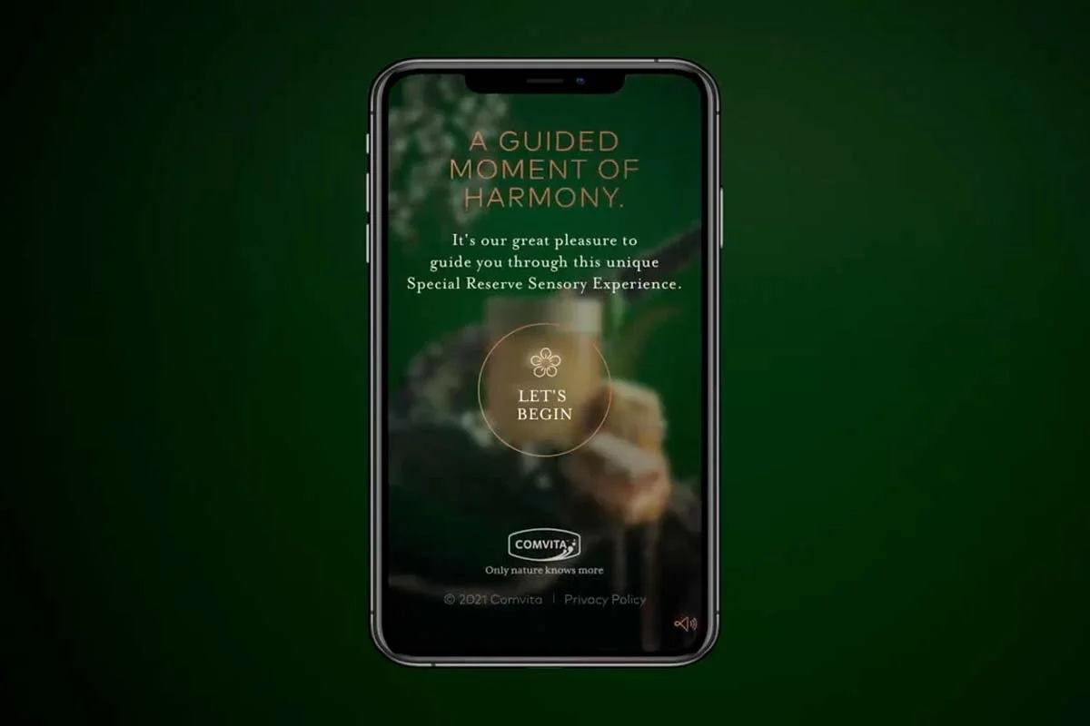 A Rare Moment of Harmony Case Study