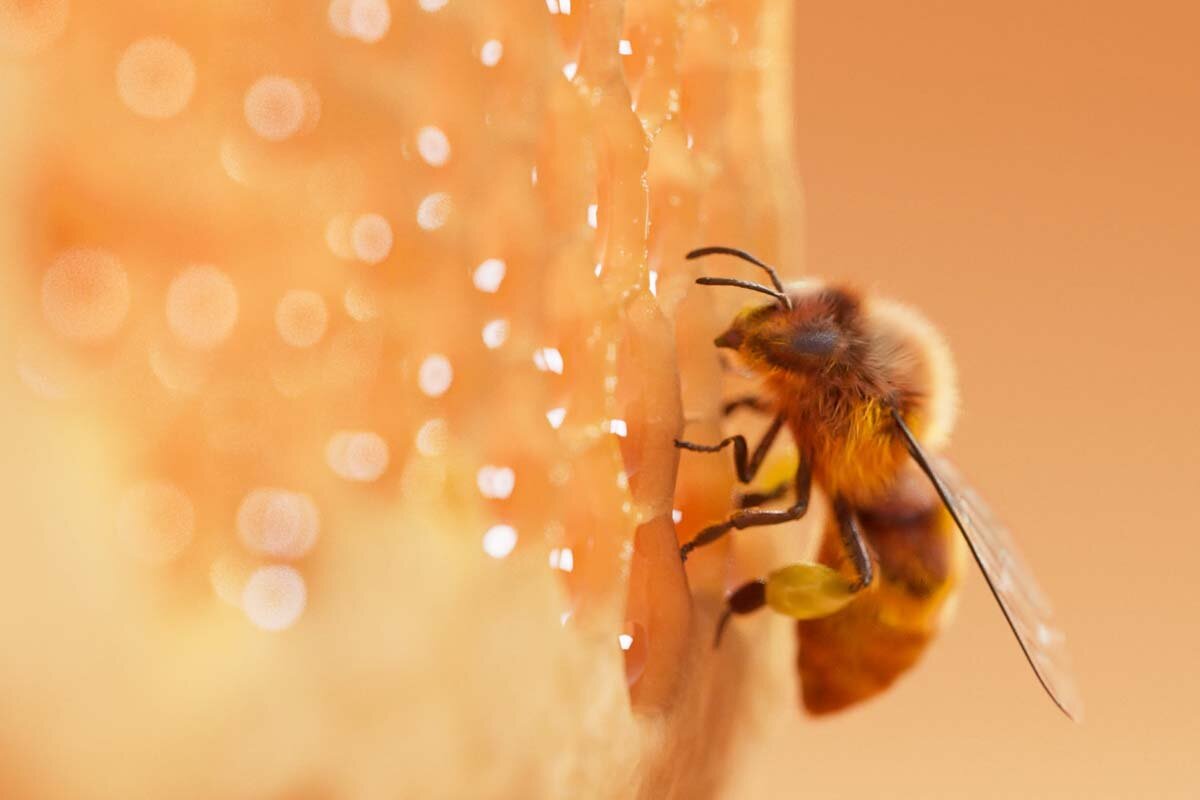 A Naturally Captivating Video