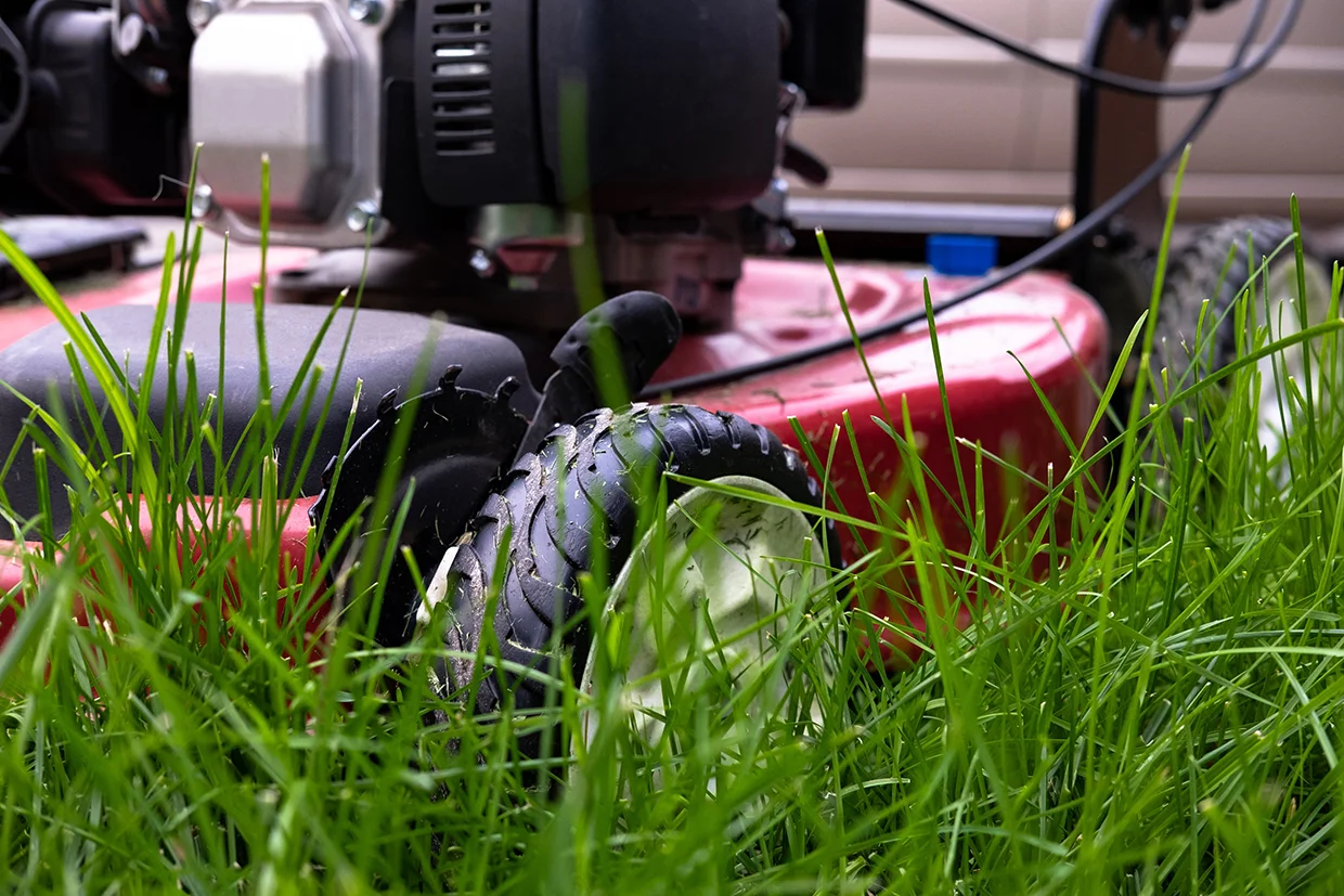 close-up-of-grass-and-mower.jpg