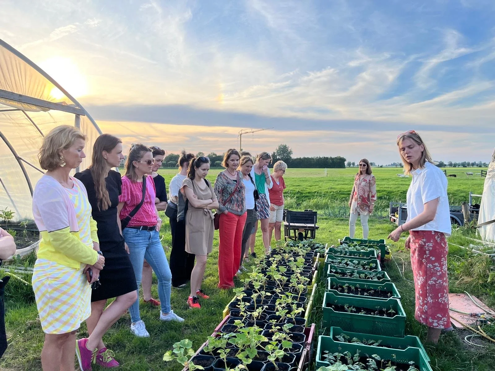 Metisavond juni 2024