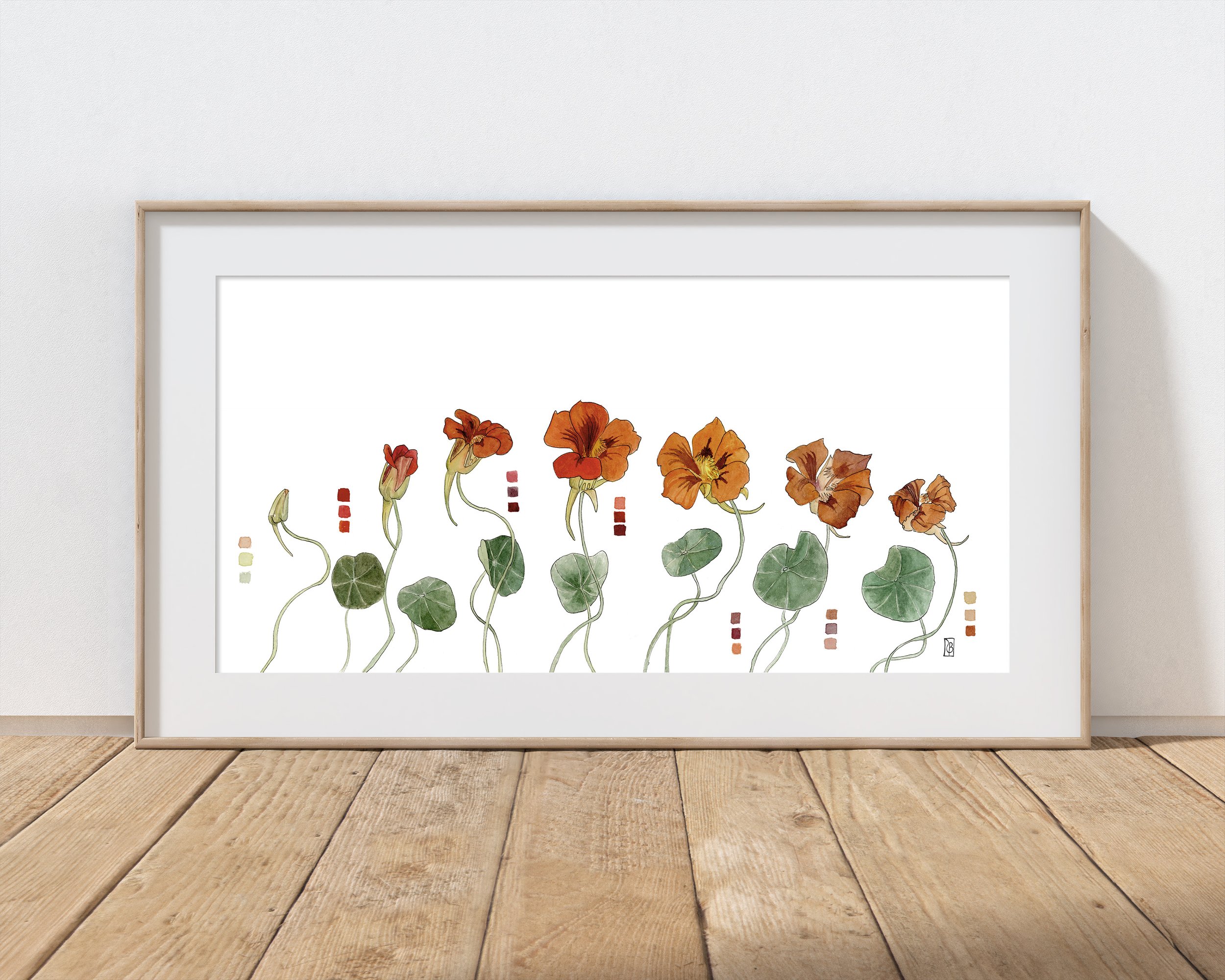 Nasturtium 2.jpg