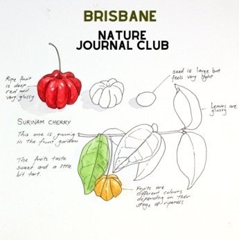 May Meetup - Brisbane Nature Journal Club