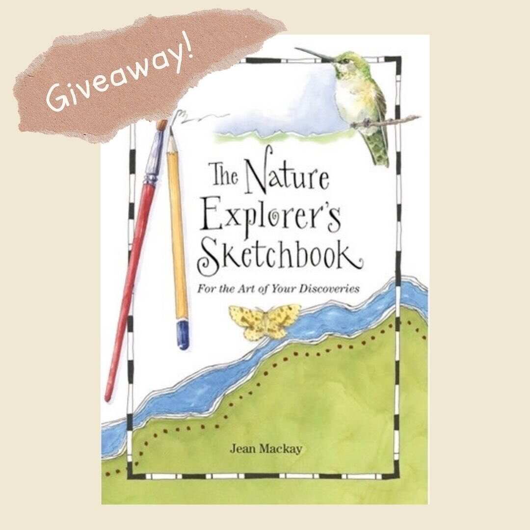 Giveaway!!!⁣
⁣
We are excited to announce that @jeanmackayart has generously offered to give away two copies of her beautiful book The Nature Explorers Sketchbook: For the Art of your Discoveries. ⁣
⁣
You can enter this giveaway by leaving a comment 