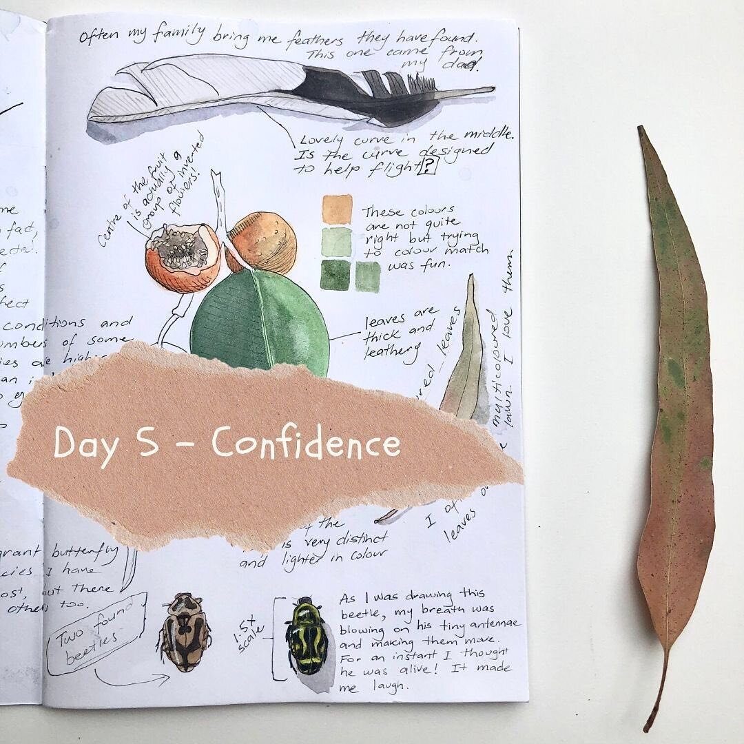 Today is Day 5 of International Nature Journaling Week and our theme is Confidence. This is a really big and important subject in the nature journaling community because many people have a fear of the blank page or a desire to create something pretty