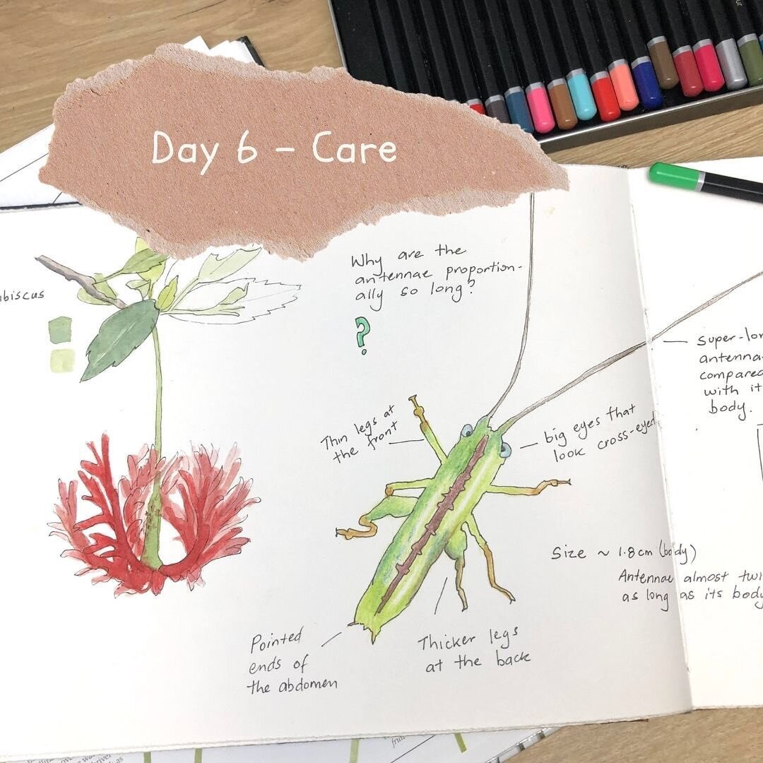 It&rsquo;s Day 6 of International Nature Journaling Week and our theme today is Care. We are talking about ways that nature journaling can help us care for ourselves, our community, and our world.⁣
⁣
We will have a live workshop by nature journal tea