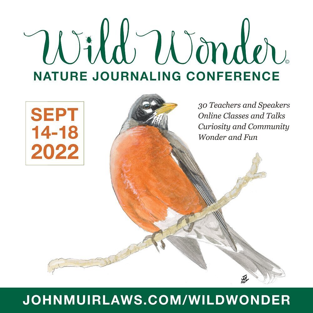I am excited and honoured to be teaching at the Wild Wonder Nature Journaling Conference again this year. The conference is an amazing week of learning and connection running from 14-18th September, 2022. ⁣
⁣
I am teaching a class called &lsquo;Using