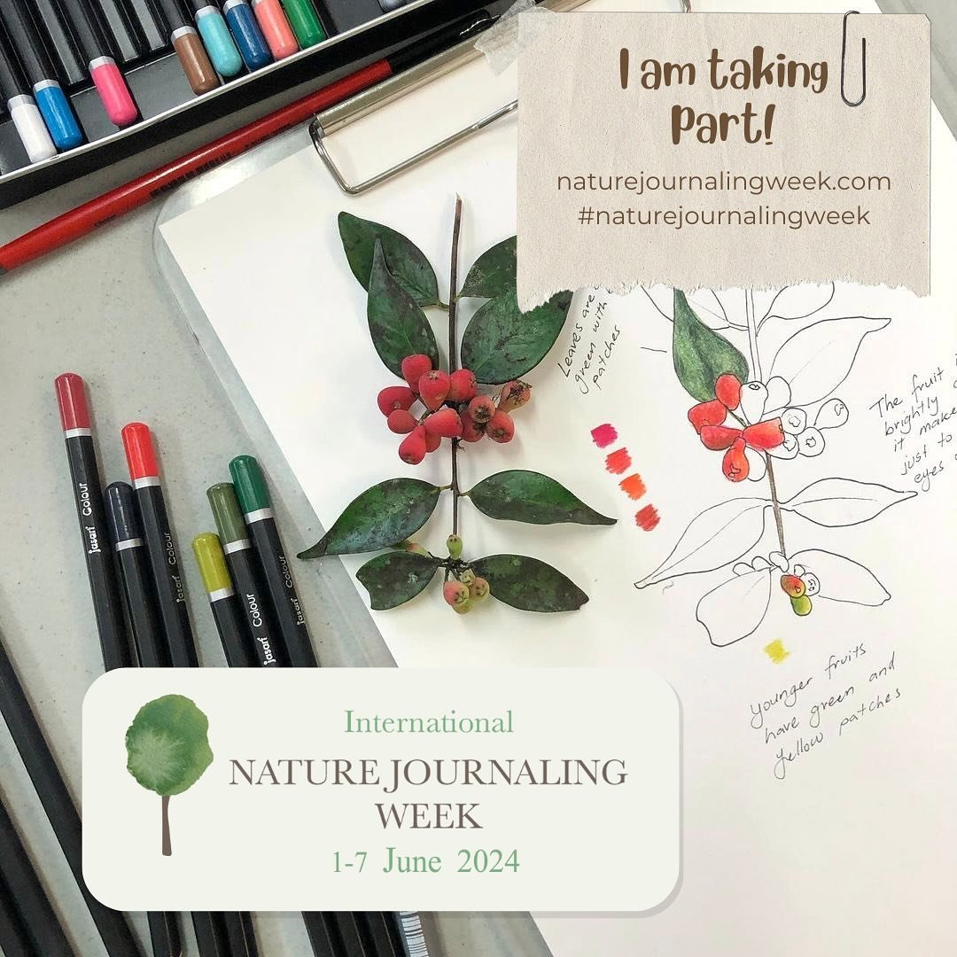 International Nature Journaling Week is right around the corner! From the 1st-7th June we will be having our annual global celebration of nature journaling and would love for you to be a part of it. ⁣
⁣
Our theme this year is &lsquo;Cycles of life&rs