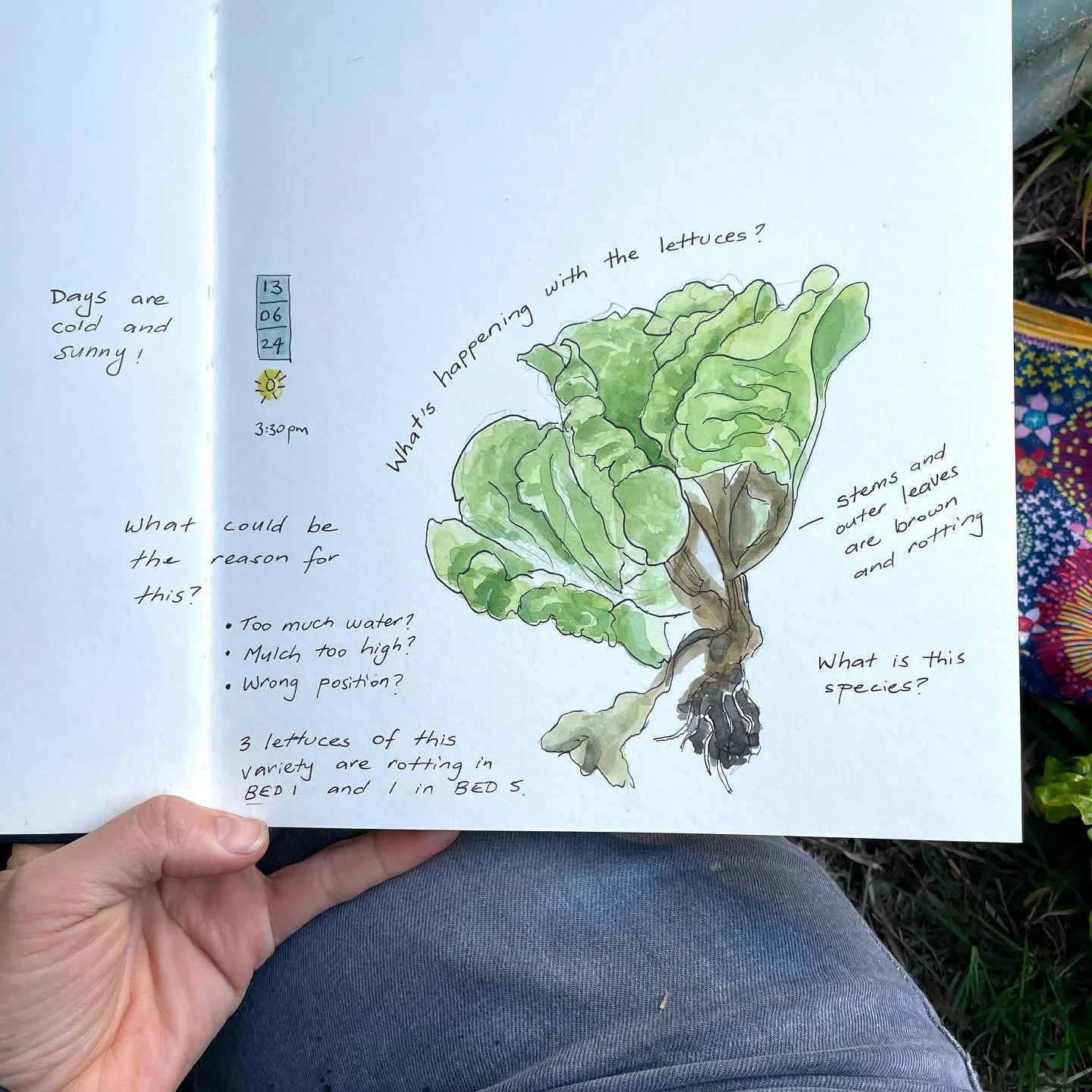 Journaling with Nature