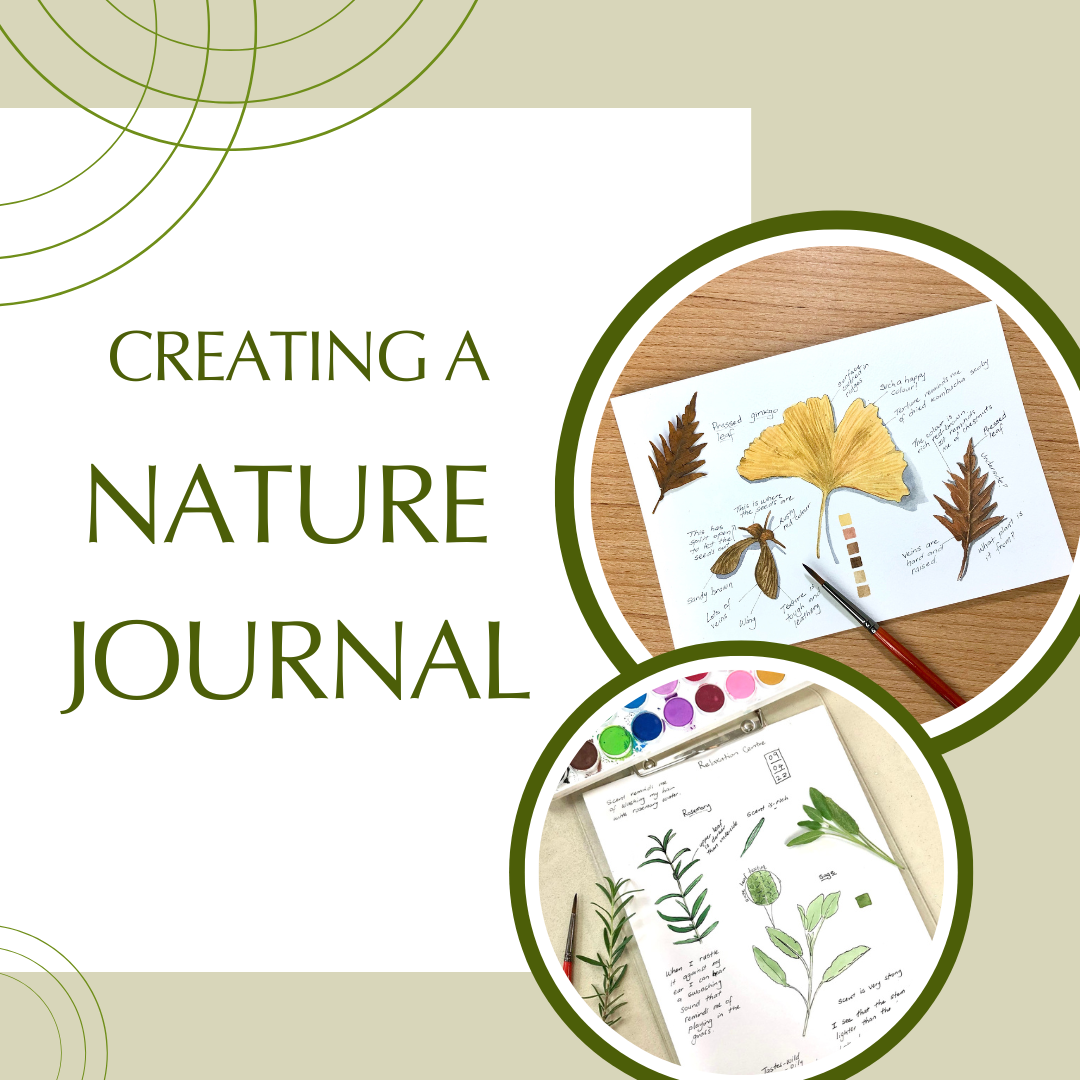 Creating a Nature Journal