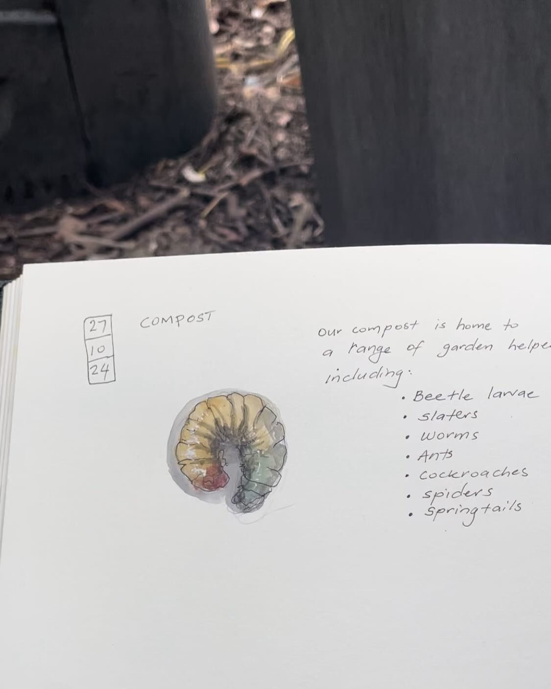 Day 27: Compost
Oh how I LOVE compost!! It&rsquo;s incredible to me how nature turns waste into gold. Helped along by bacteria and fungus, so many animals make a home in the compost pile, breaking it down into soil which will again nourish the garden