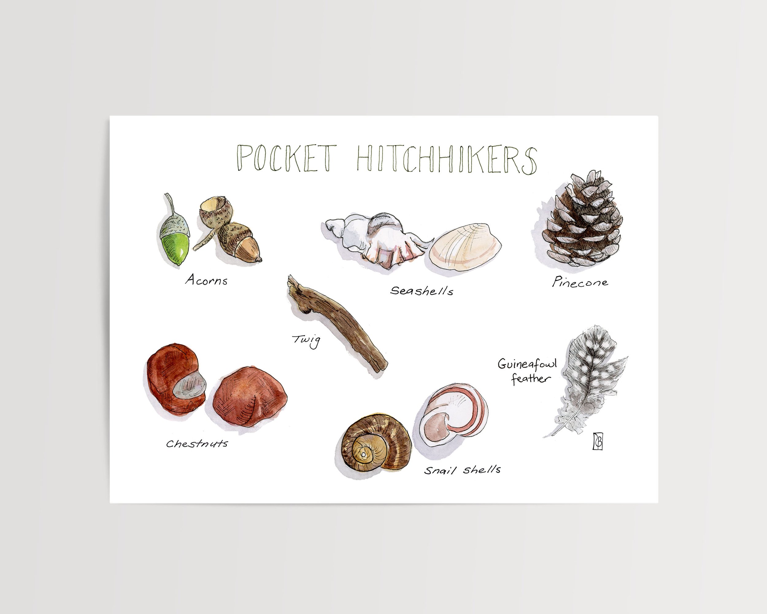 Pocket hitchhikers flat.jpg