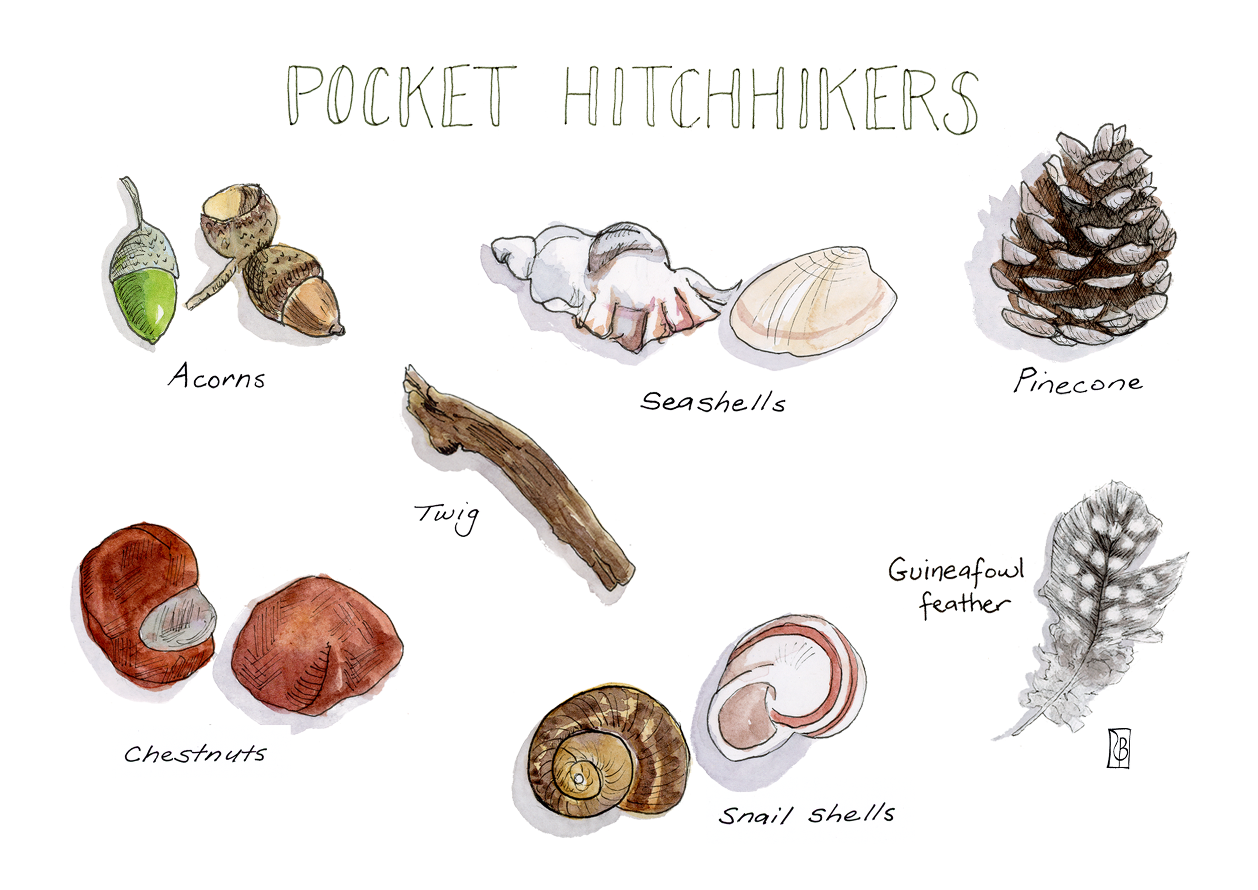 New Pocket HH.png