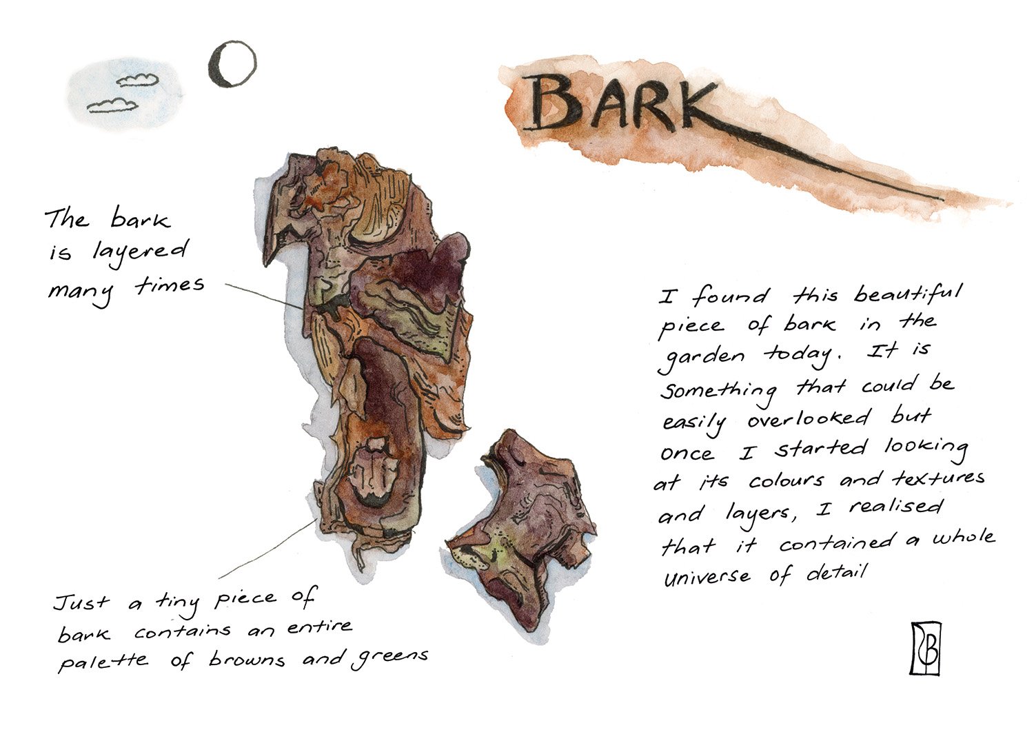 Bark .jpg