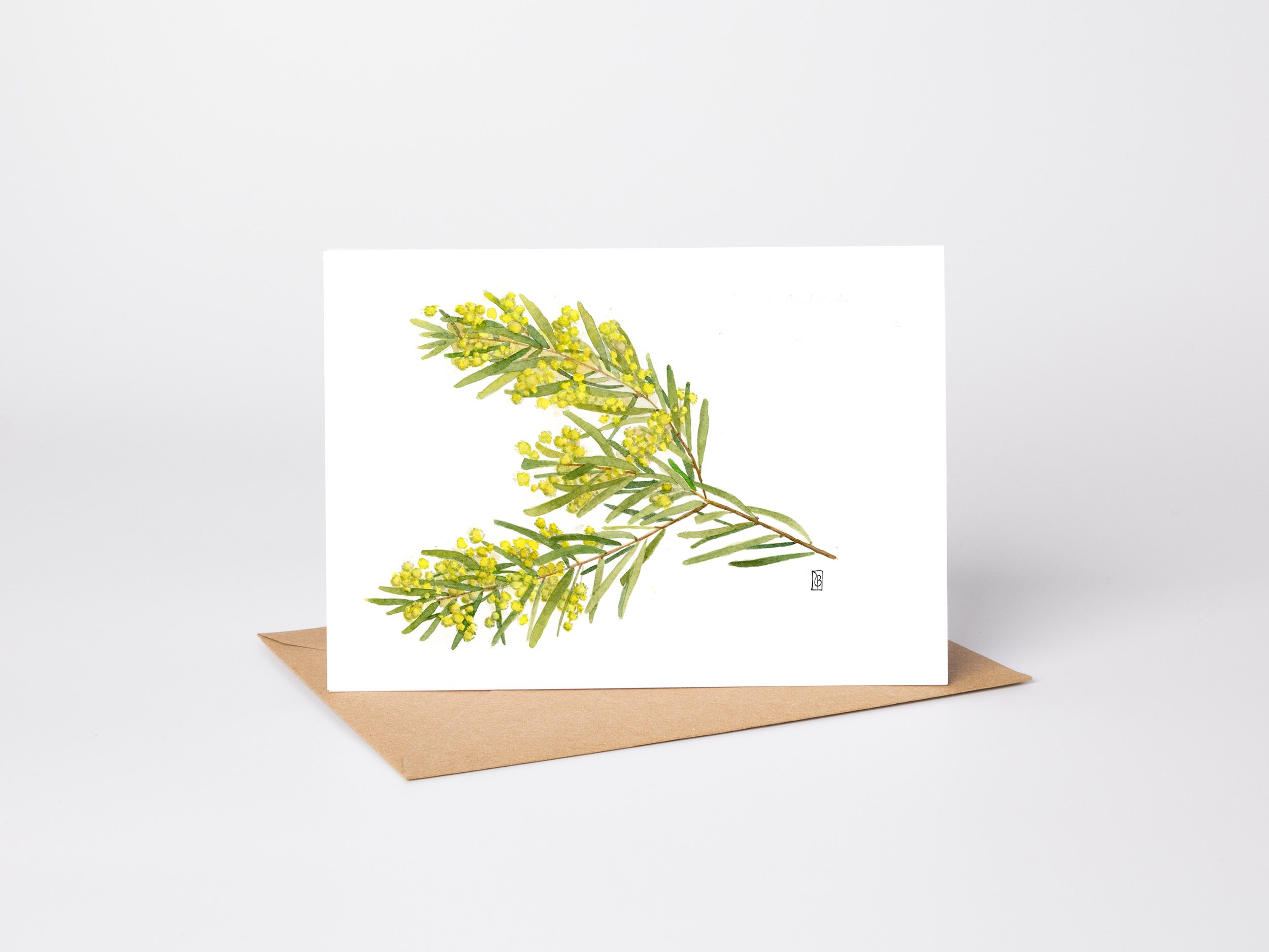 Wattle standing.jpg