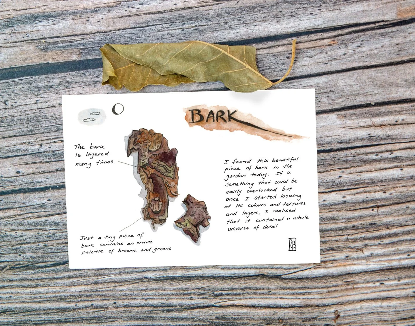 PC Leaf Display B - Bark.jpg