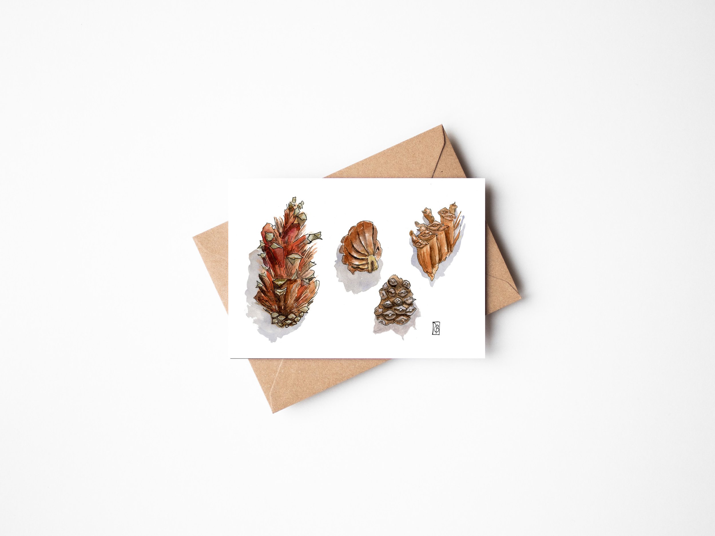 Pinecones flat.jpg