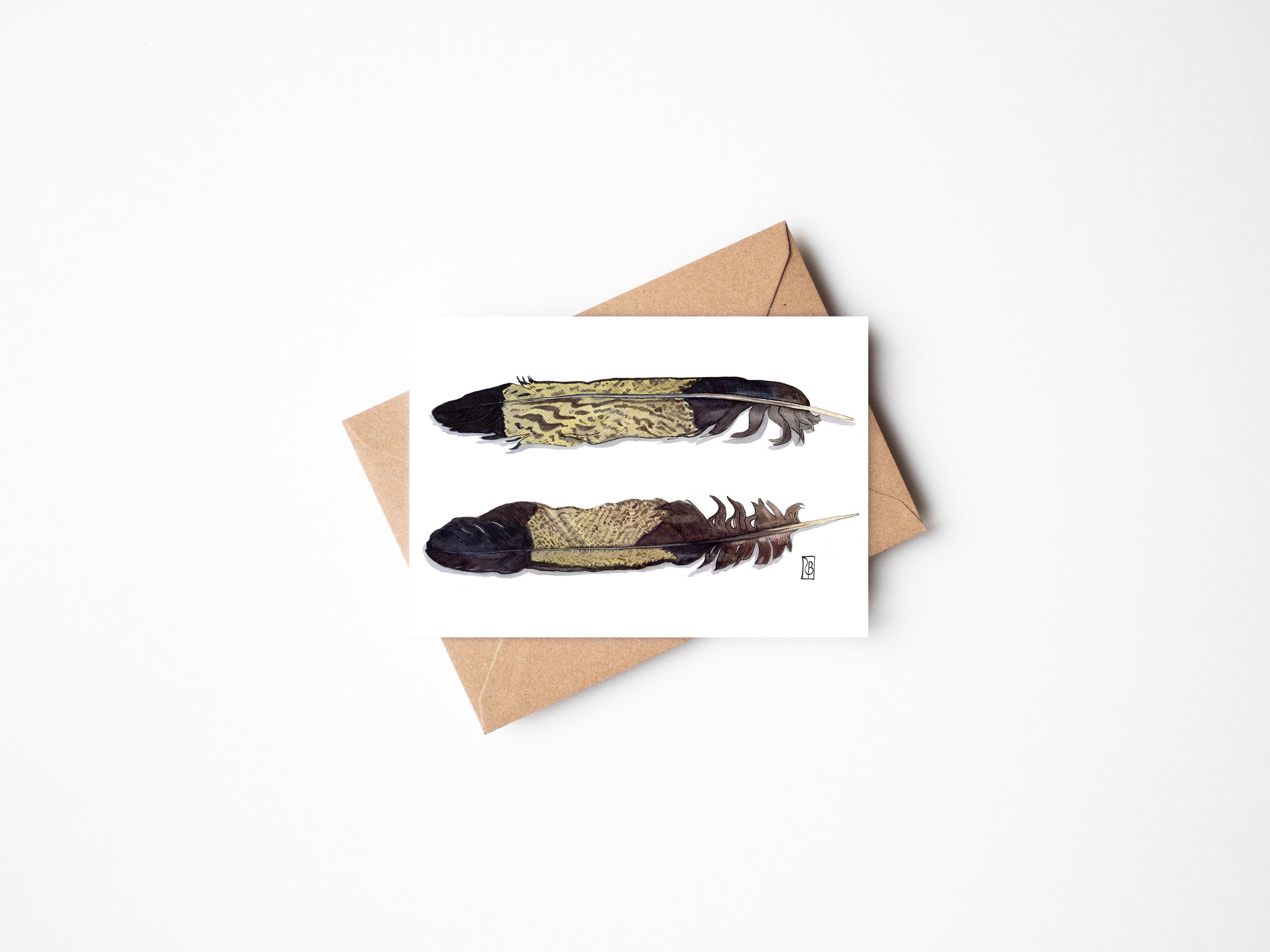Feathers flat.jpg
