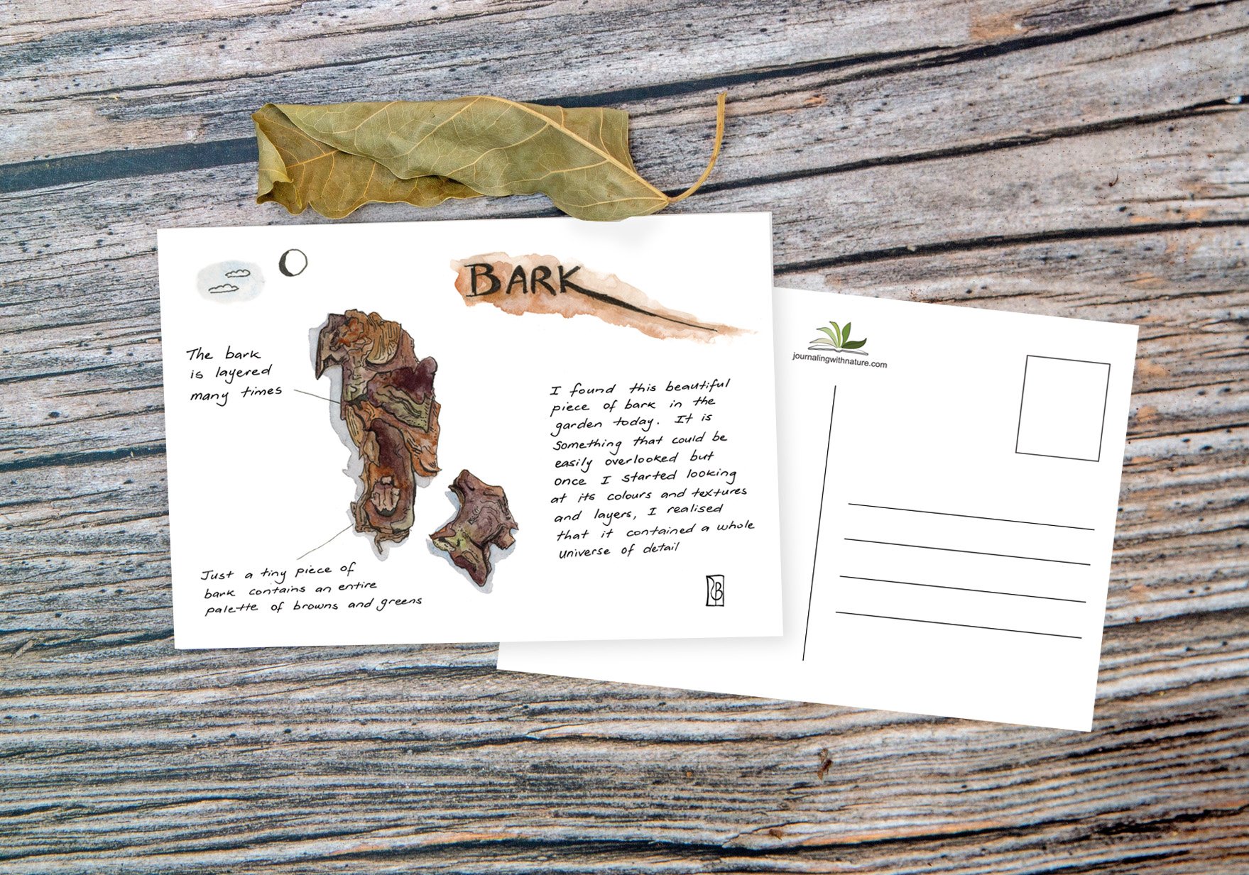 PC Leaf Display A - Bark.jpg