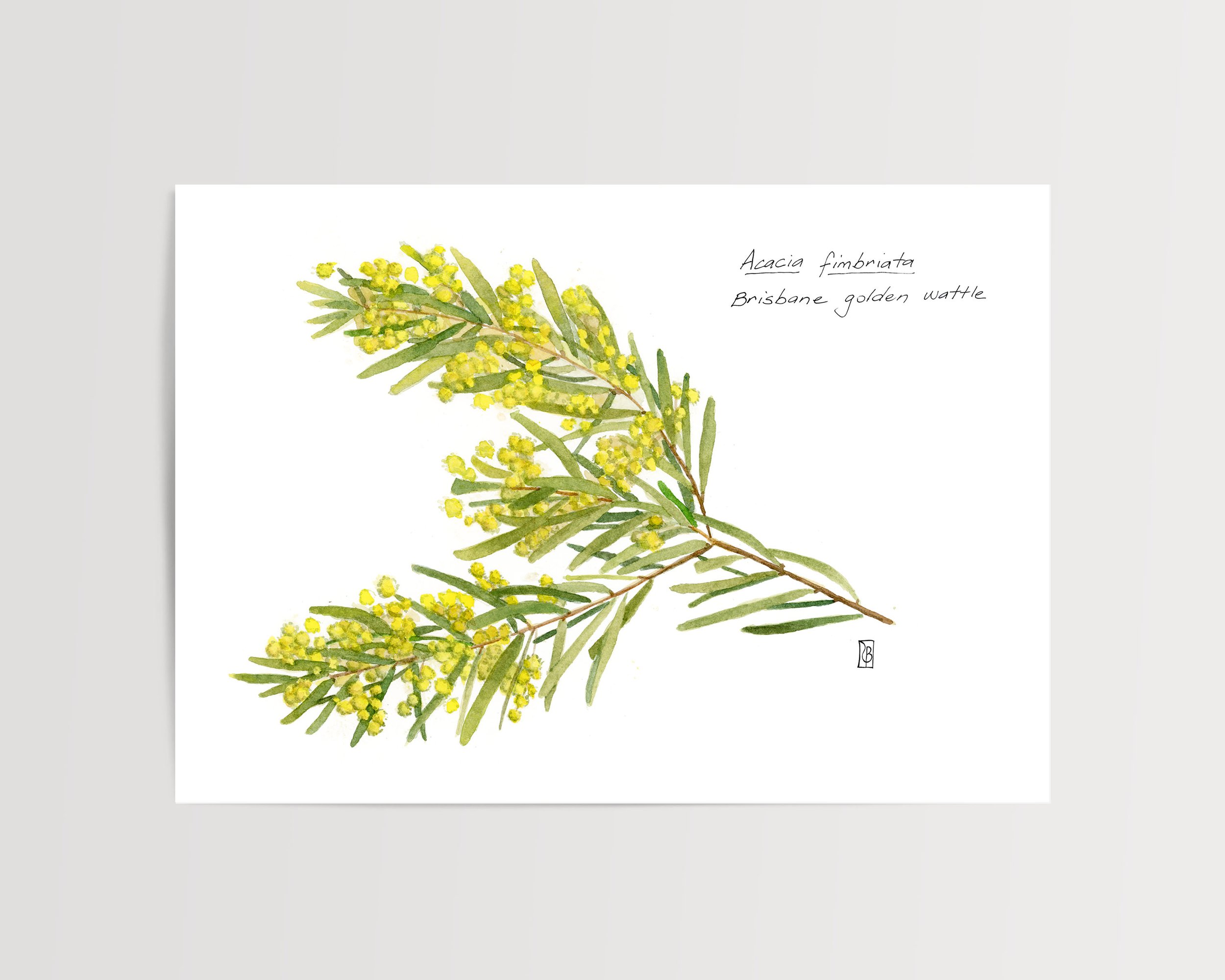 Wattle flat.jpg