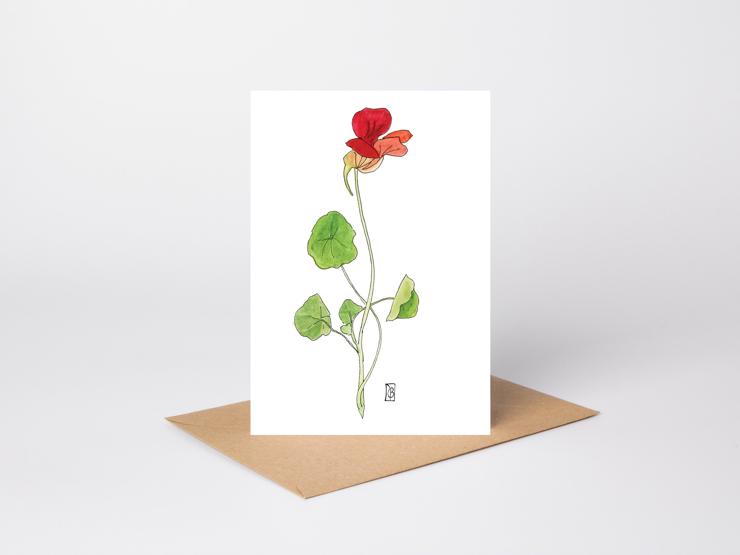 Nasturtium standing.jpg