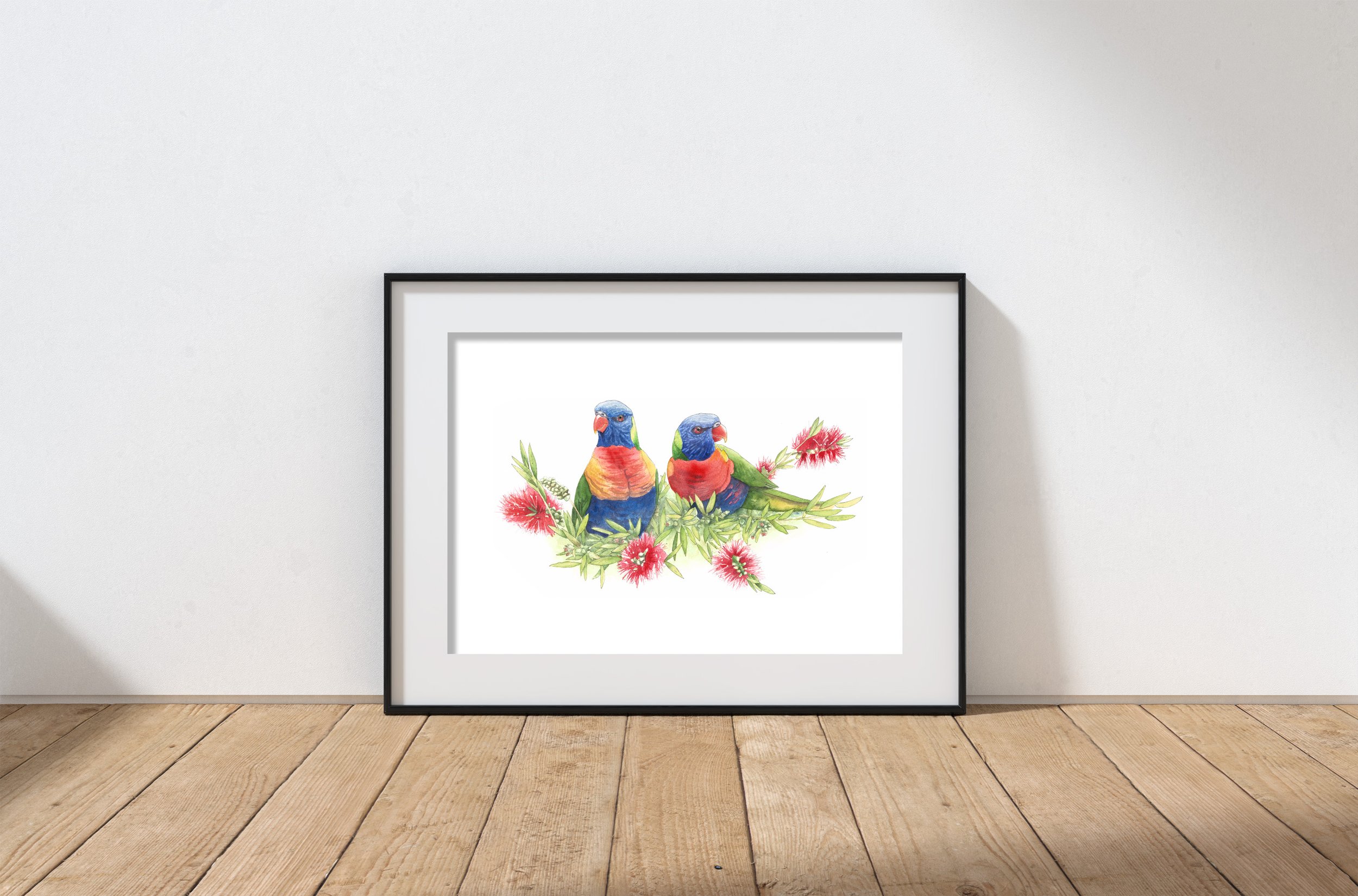 Lorikeets.jpg