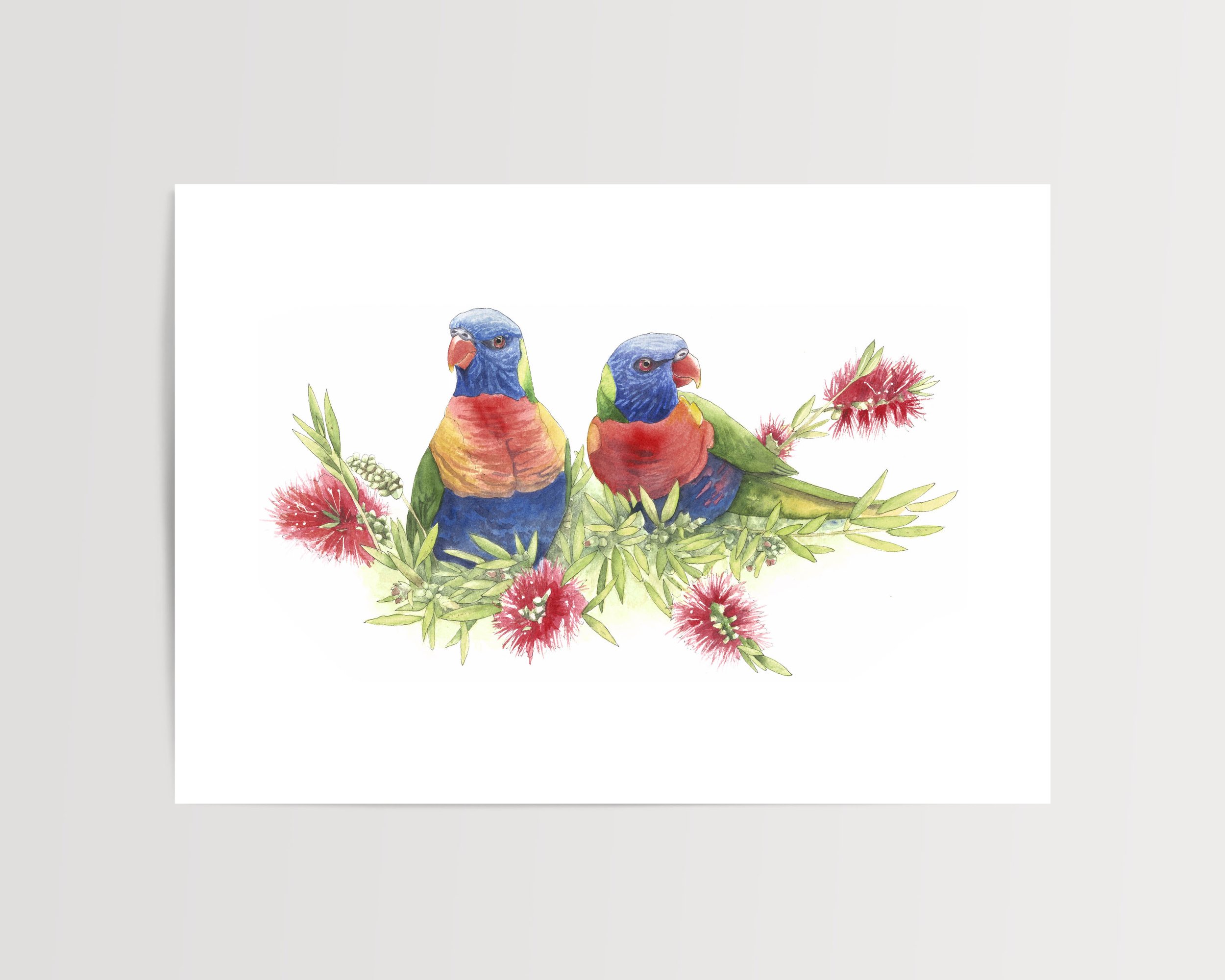 Rainbow lorikeets flat.jpg