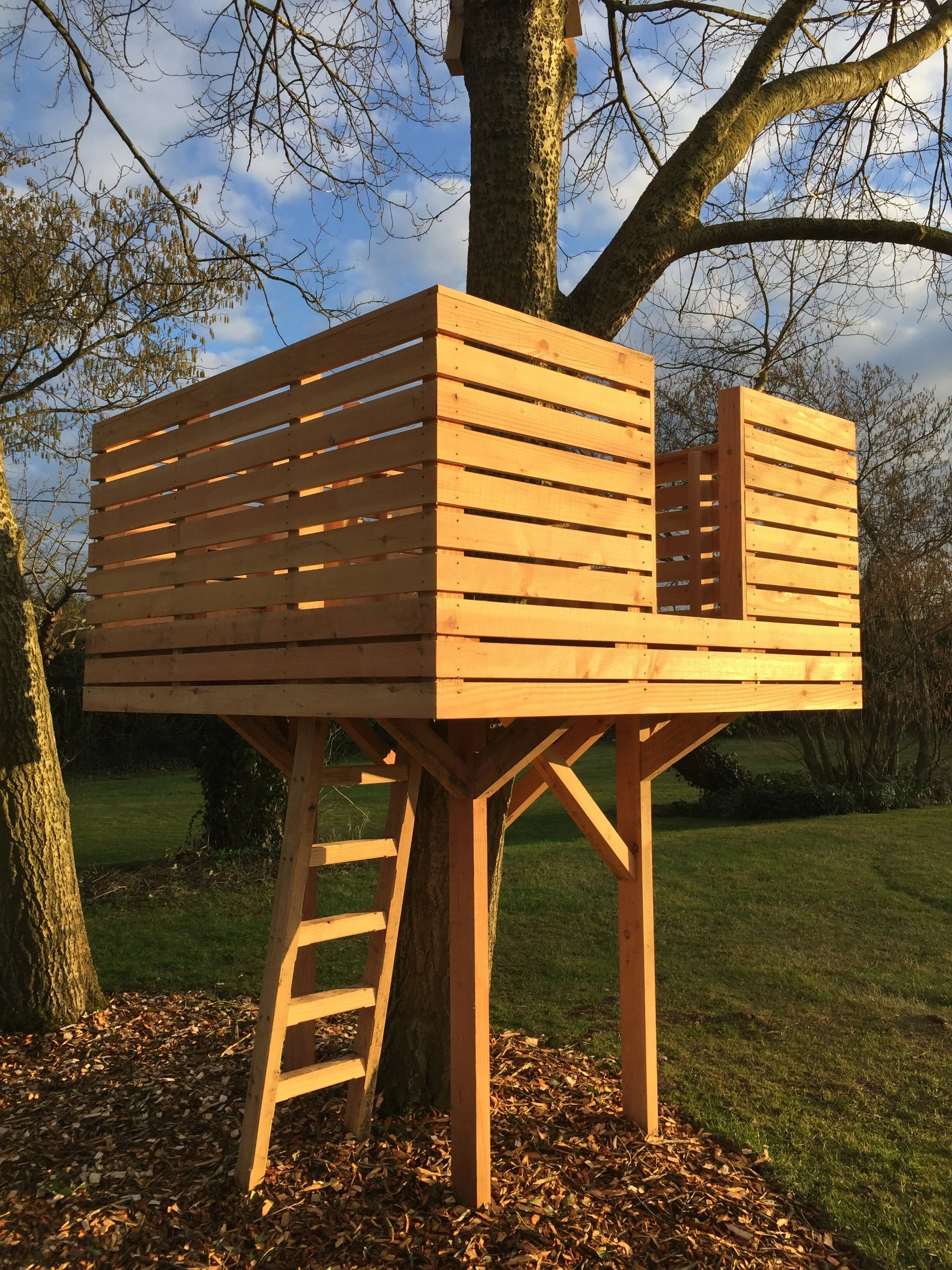 Tree Platform.jpg