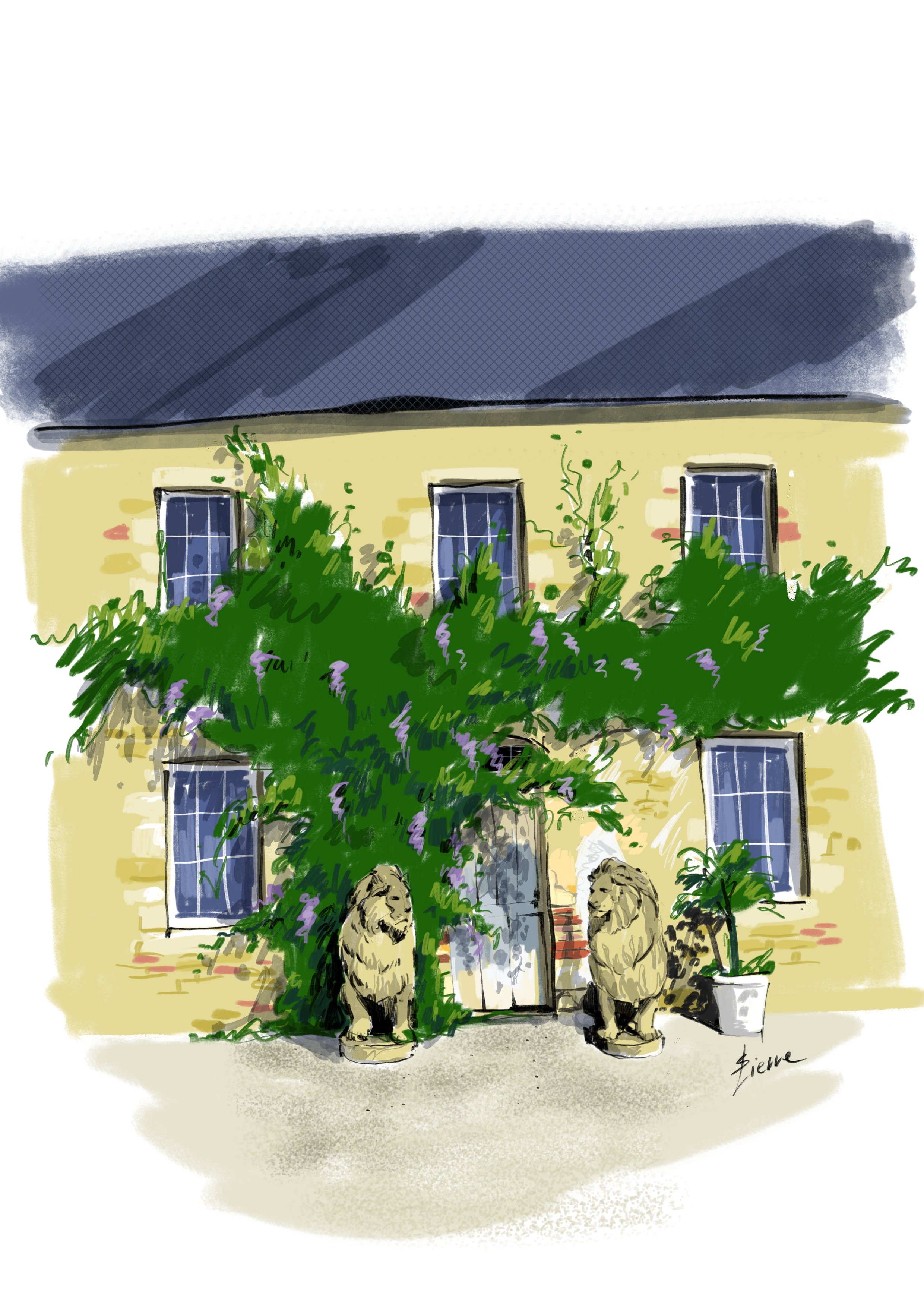 sketch1783759762612.jpeg